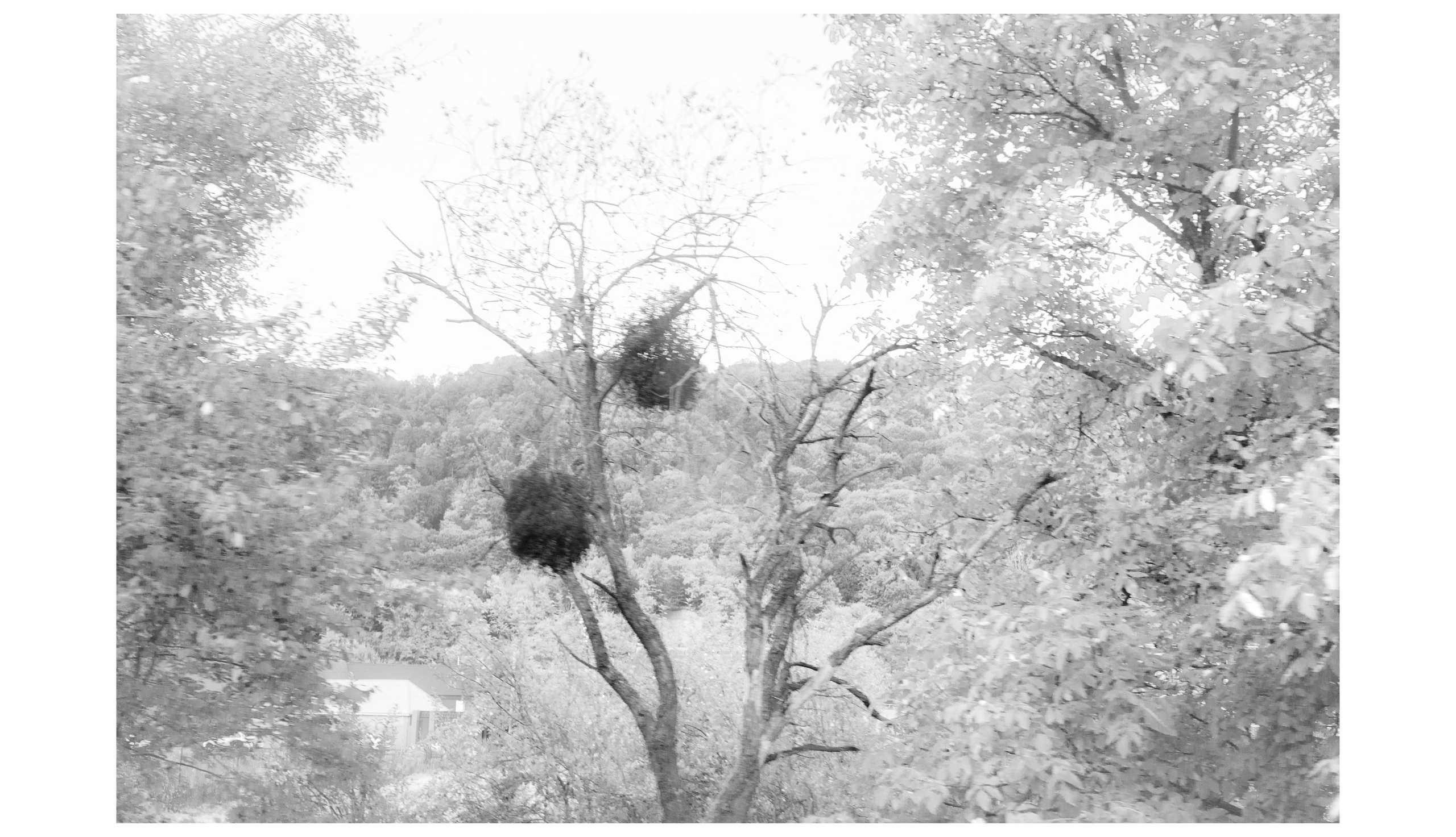 Интерьерные фотографии России. Фотографии Руслана Сайдалиева (Рус Сай)