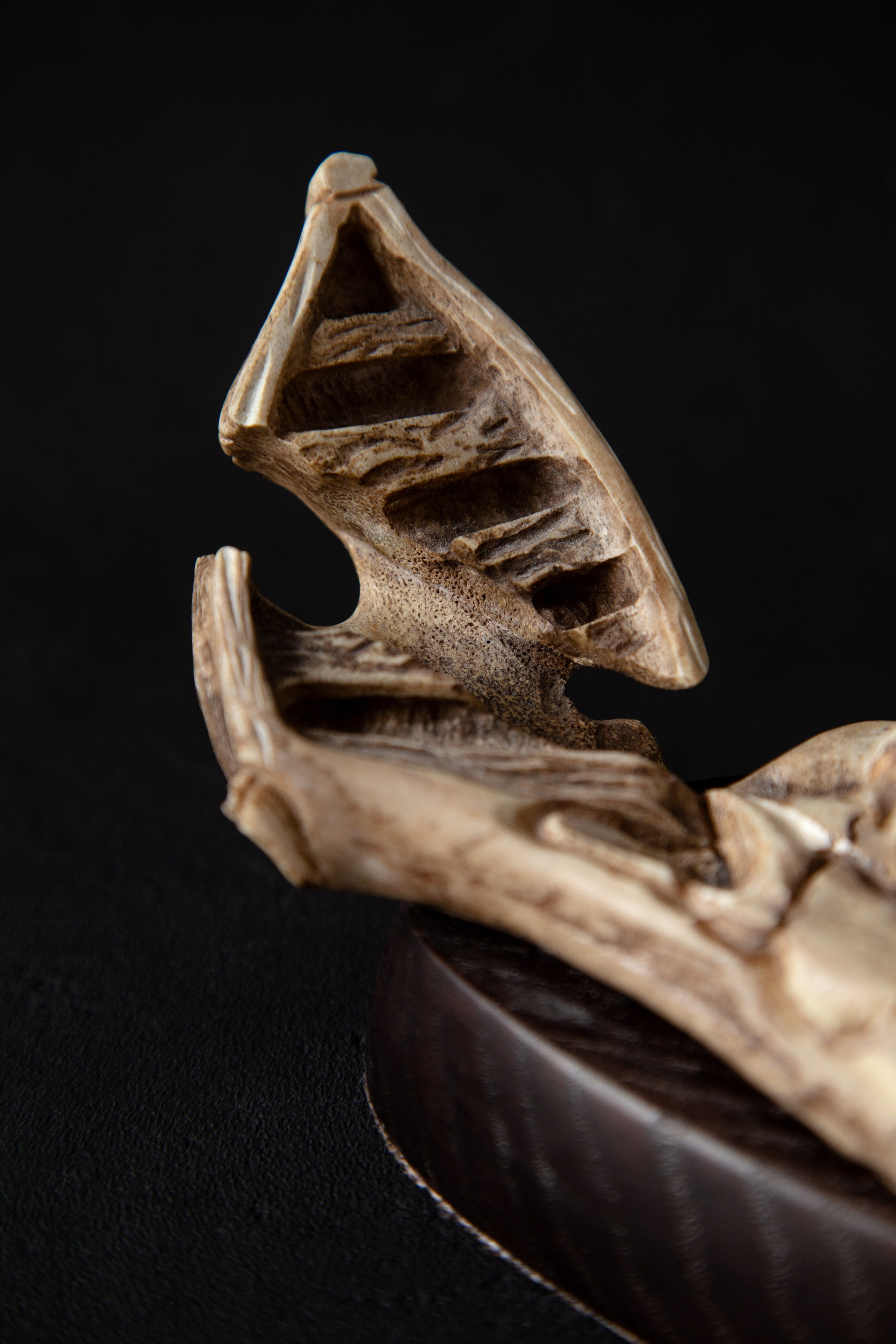 Предметка. Фотограф в Сургуте Ксения Лепина