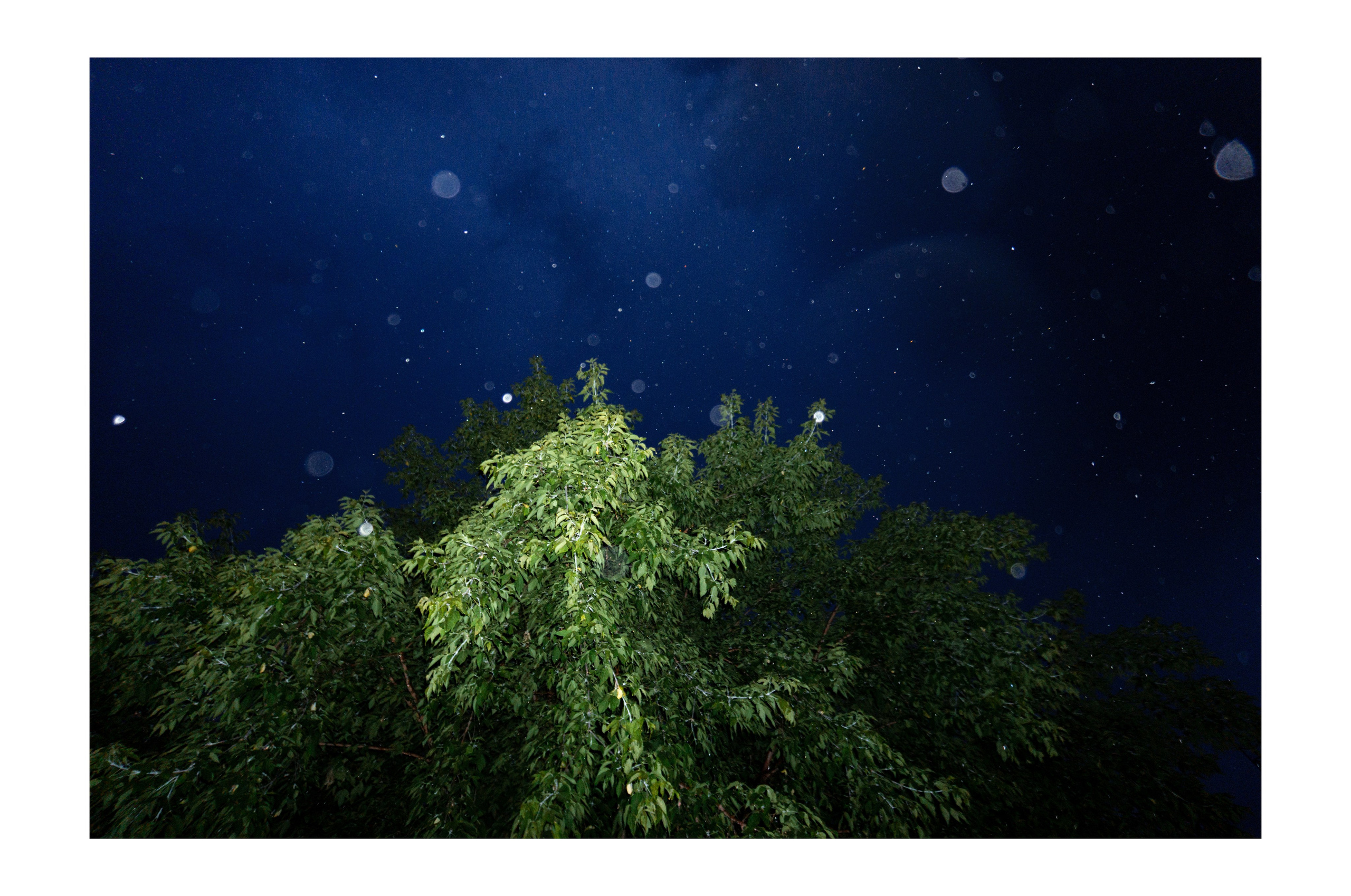 02.07.2025 | Красноярск. Kuznetsov | Фотограф в Красноярске