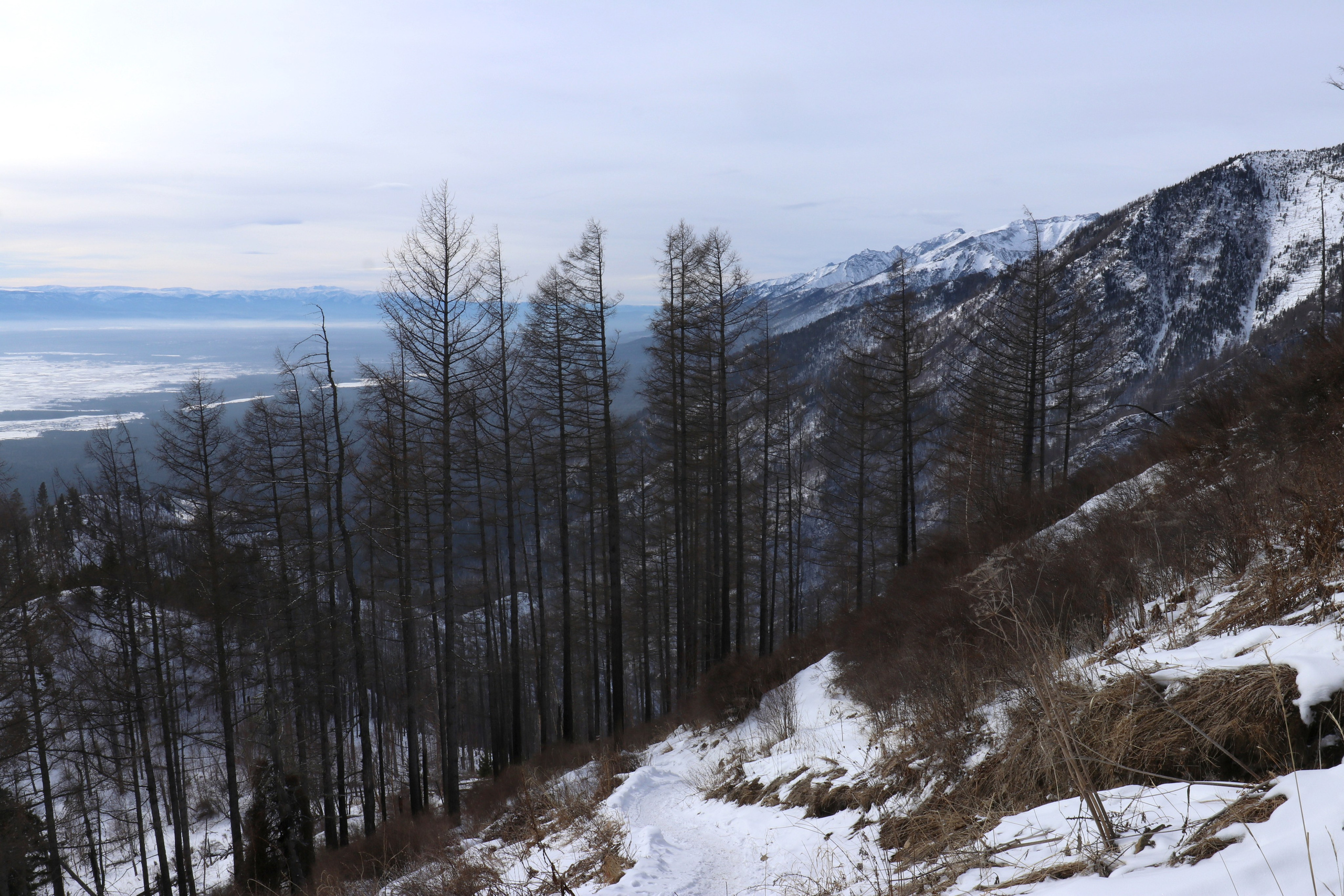 Аршан. Февраль 2025. Путешественник-фотограф из Санкт-Петербурга Татьяна Свистулина