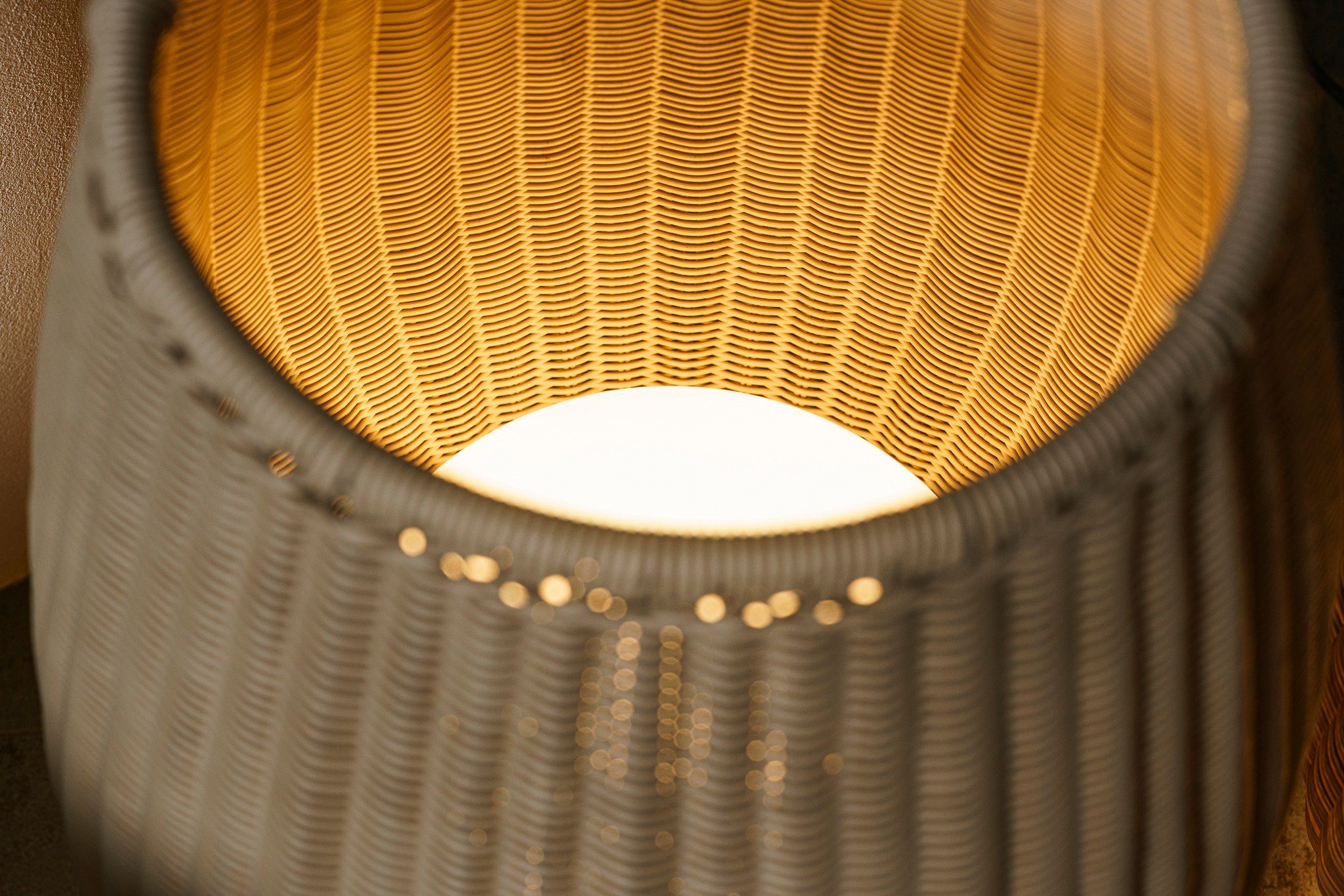 Трио Интерьер 2025 (пр-т Жукова). Фотограф Василий Буланов