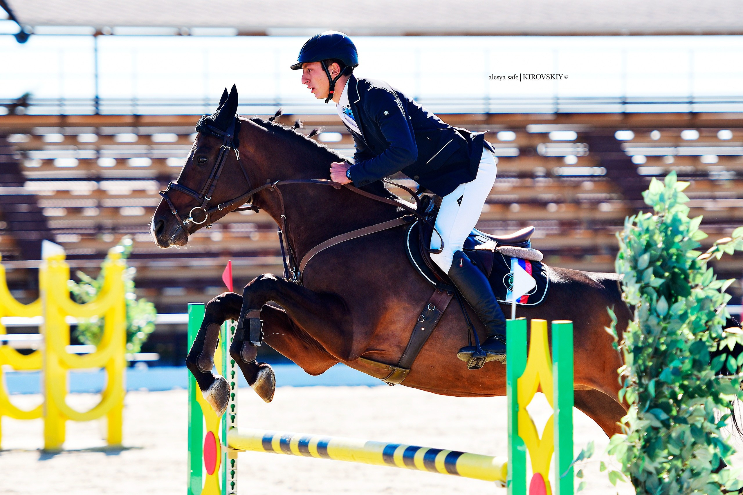 Кировский конный завод. Конный фотограф Alesya Safe