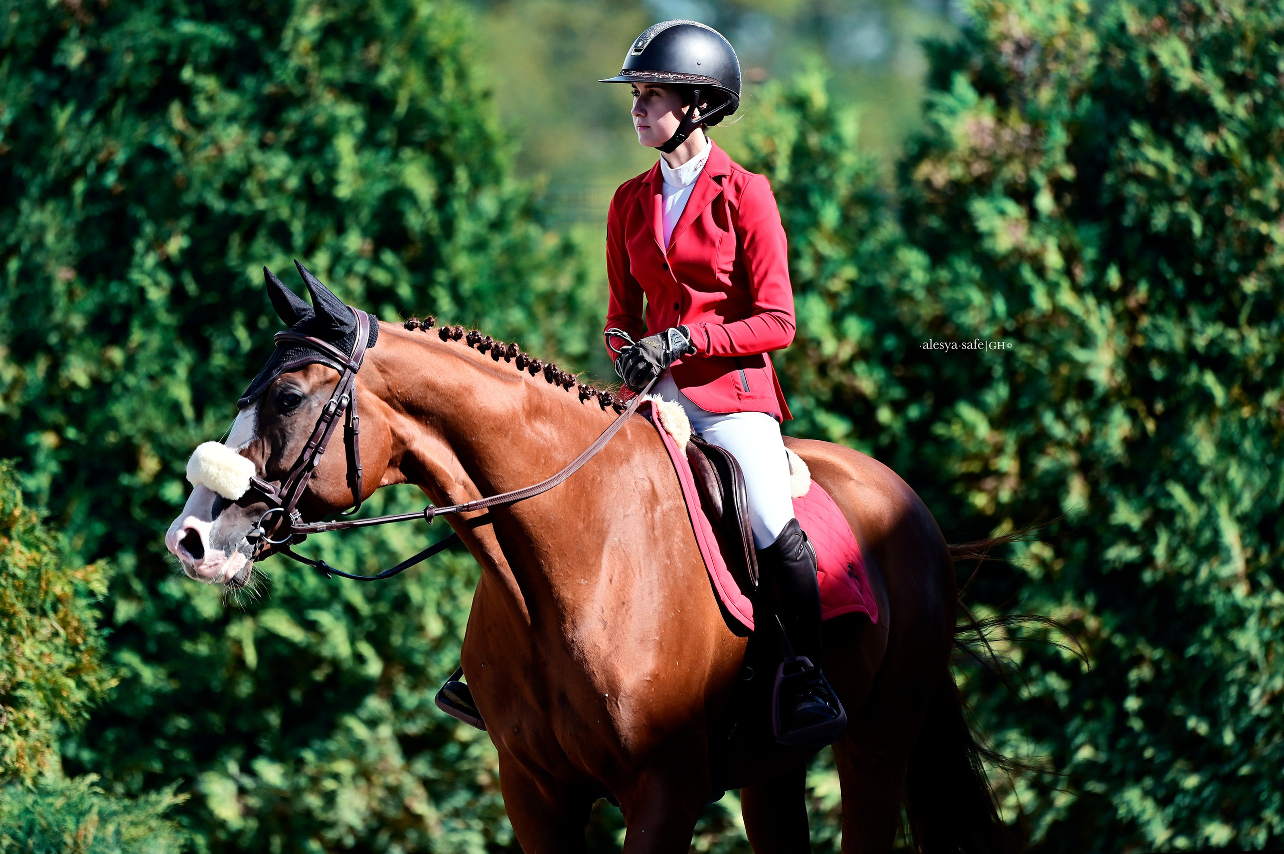 Спортивная конная фотография