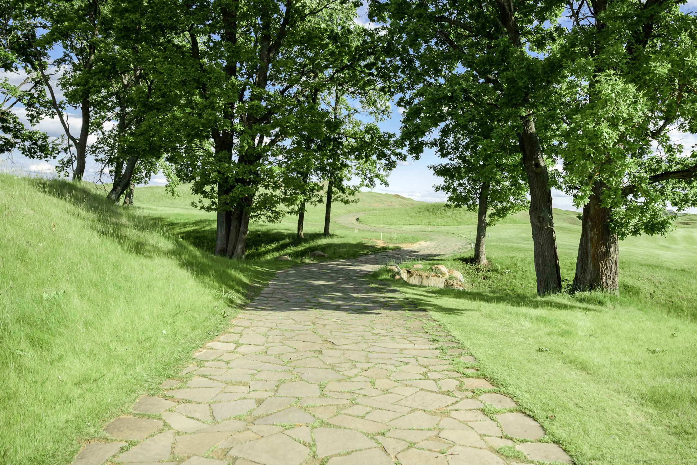 Репортаж. Фотограф в Москве Наталья Новикова