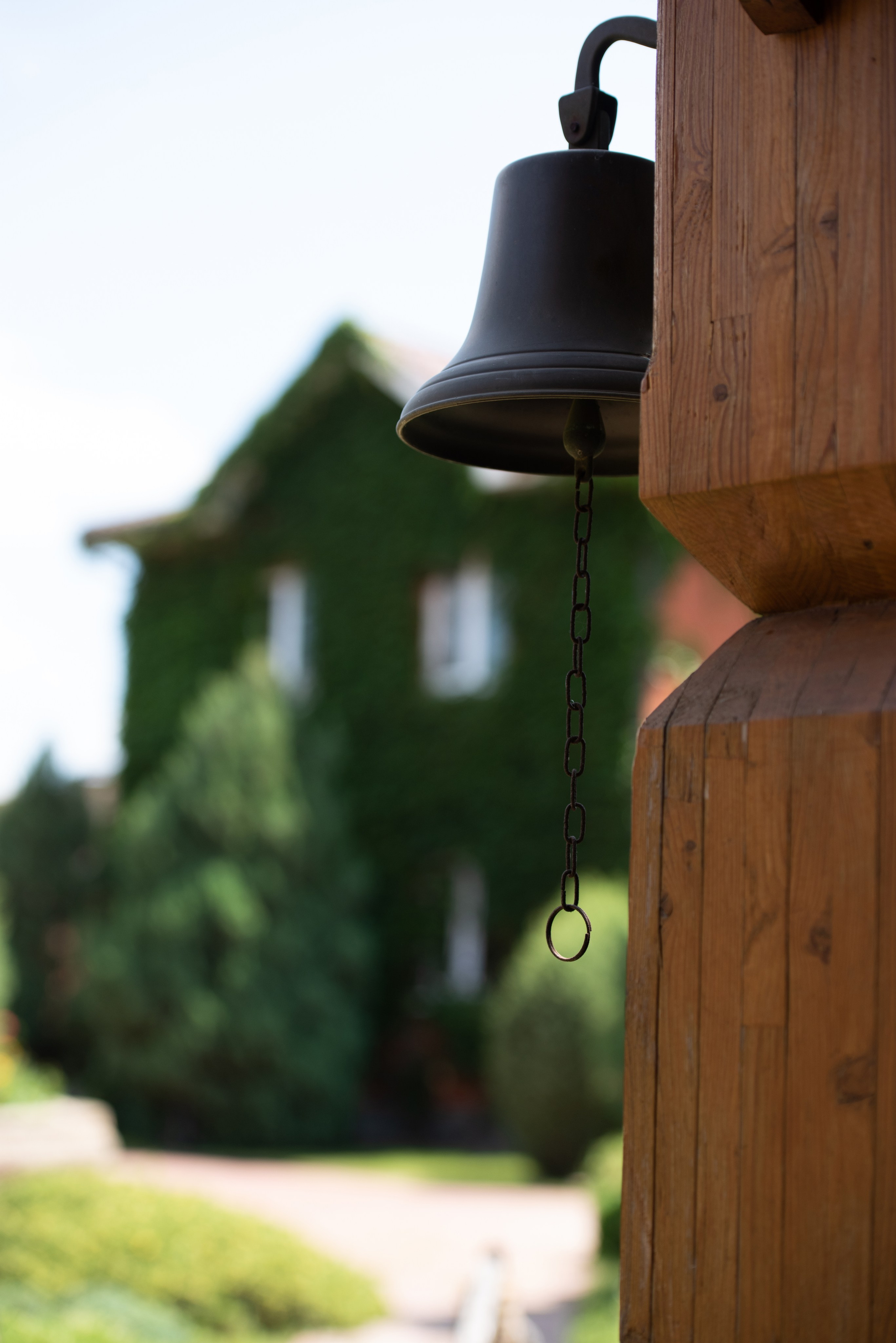 Марина и Максим. Фотограф Дарья Костина