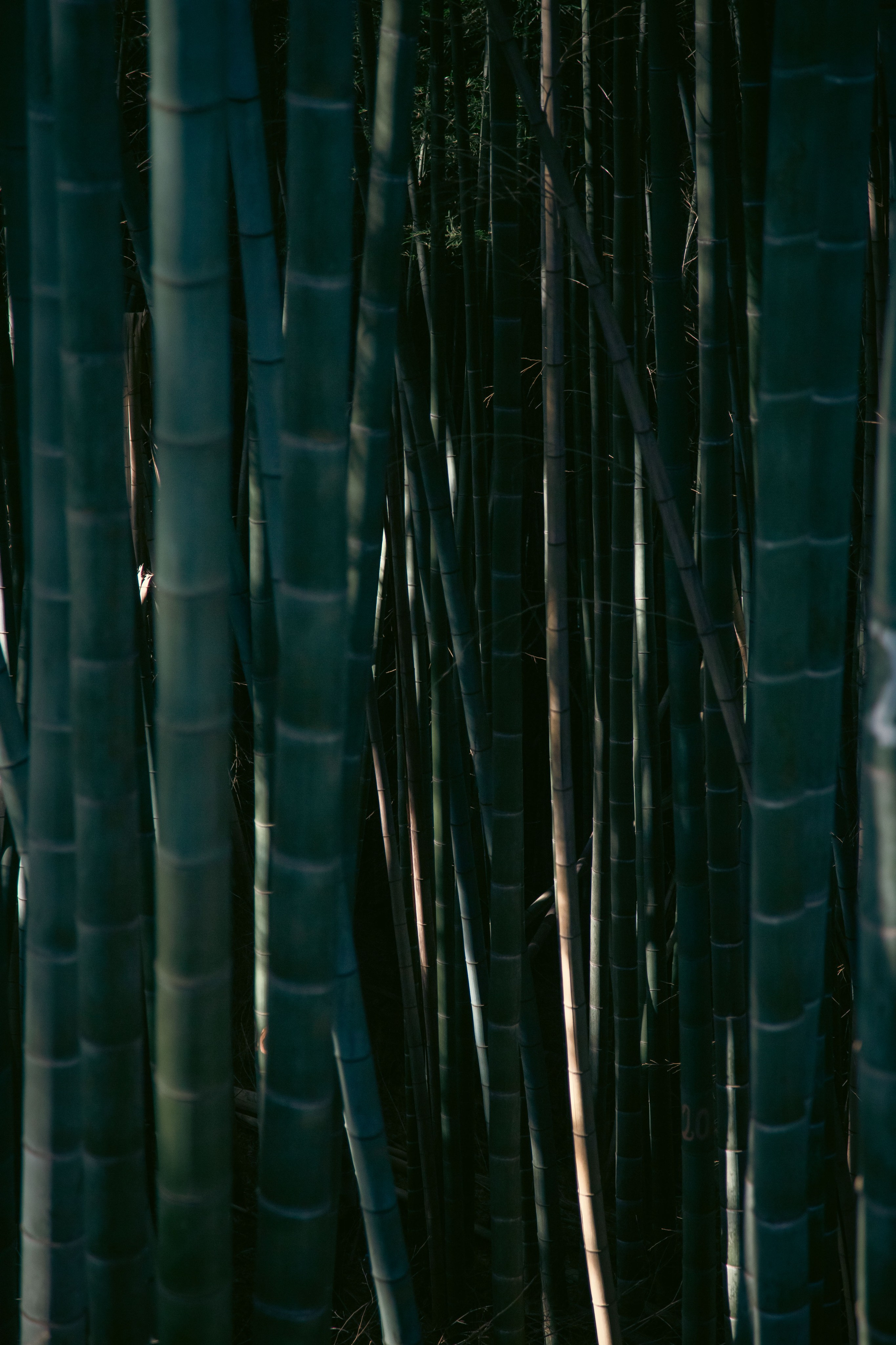 Batumi. Dmitriy [KCCC] is a pretty cool photographer