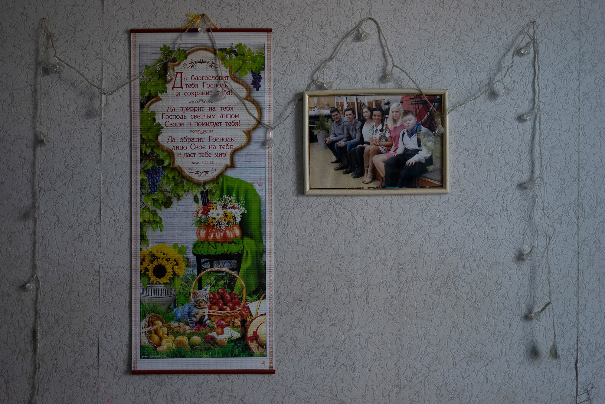 Авик. Дарья Крыл