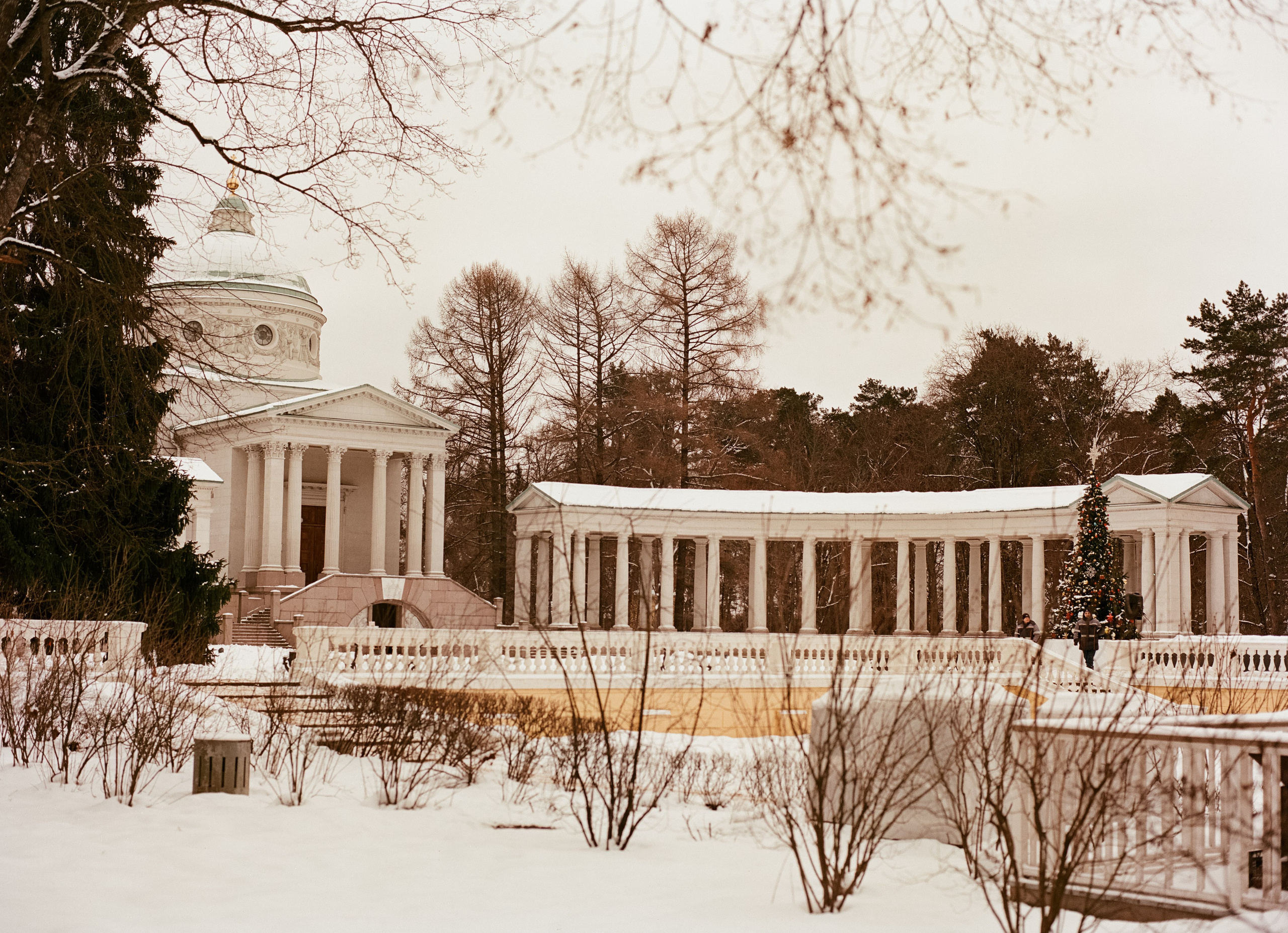 Mamiya 645 PRO — Mamiya-Sekor C 80 mm f1.9 