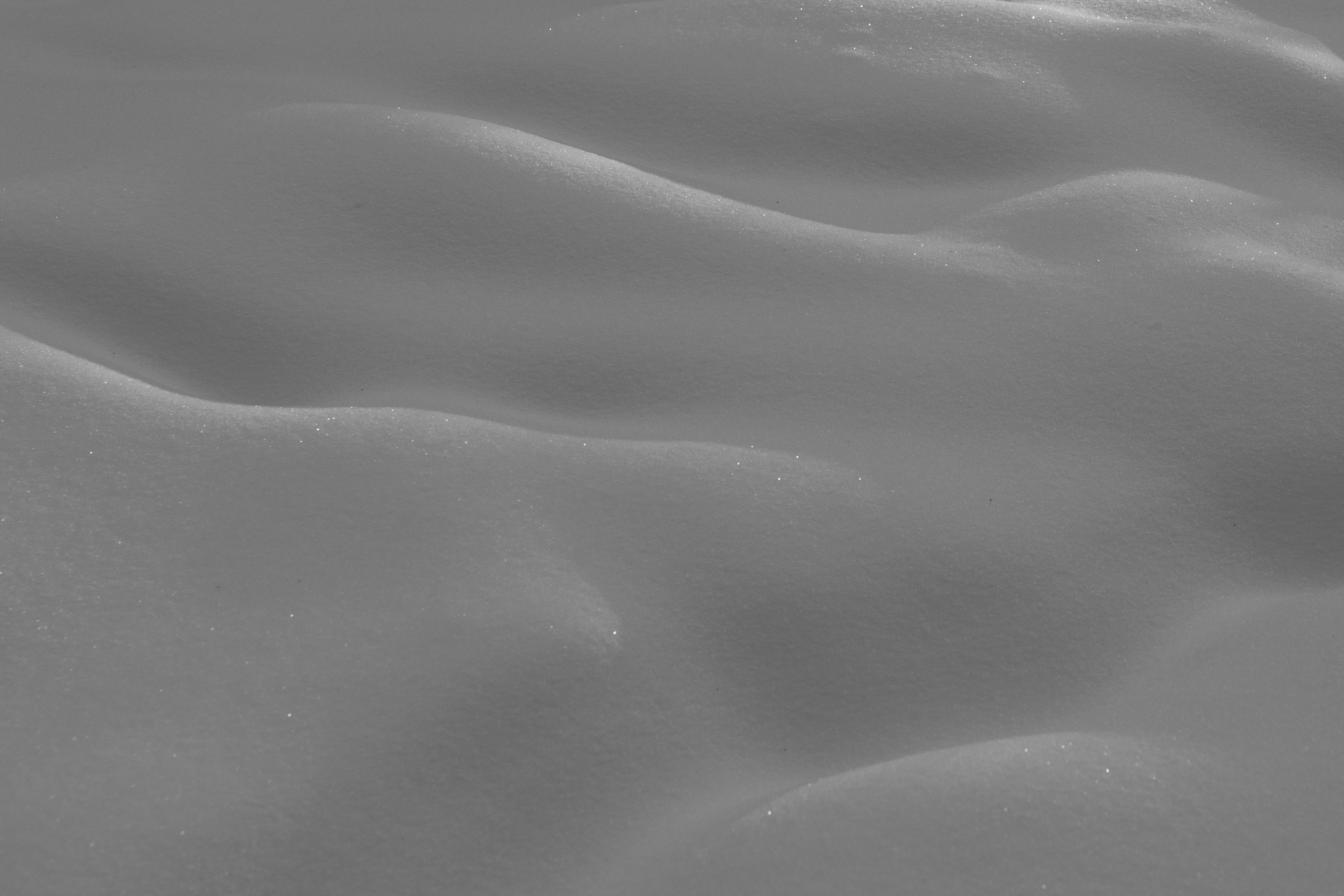 Art prints. Фотограф алина стерхова, алина стерхова фотограф, фотограф москва