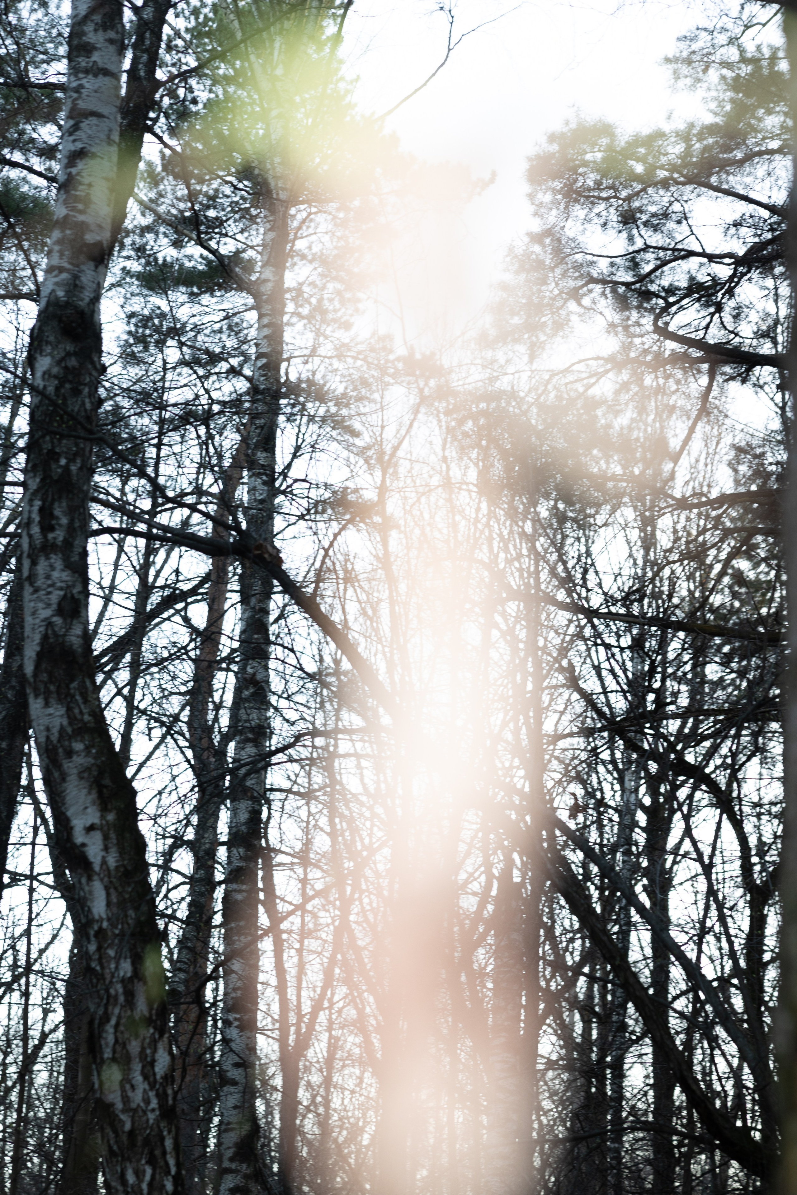 Art prints. Фотограф алина стерхова, алина стерхова фотограф, фотограф москва