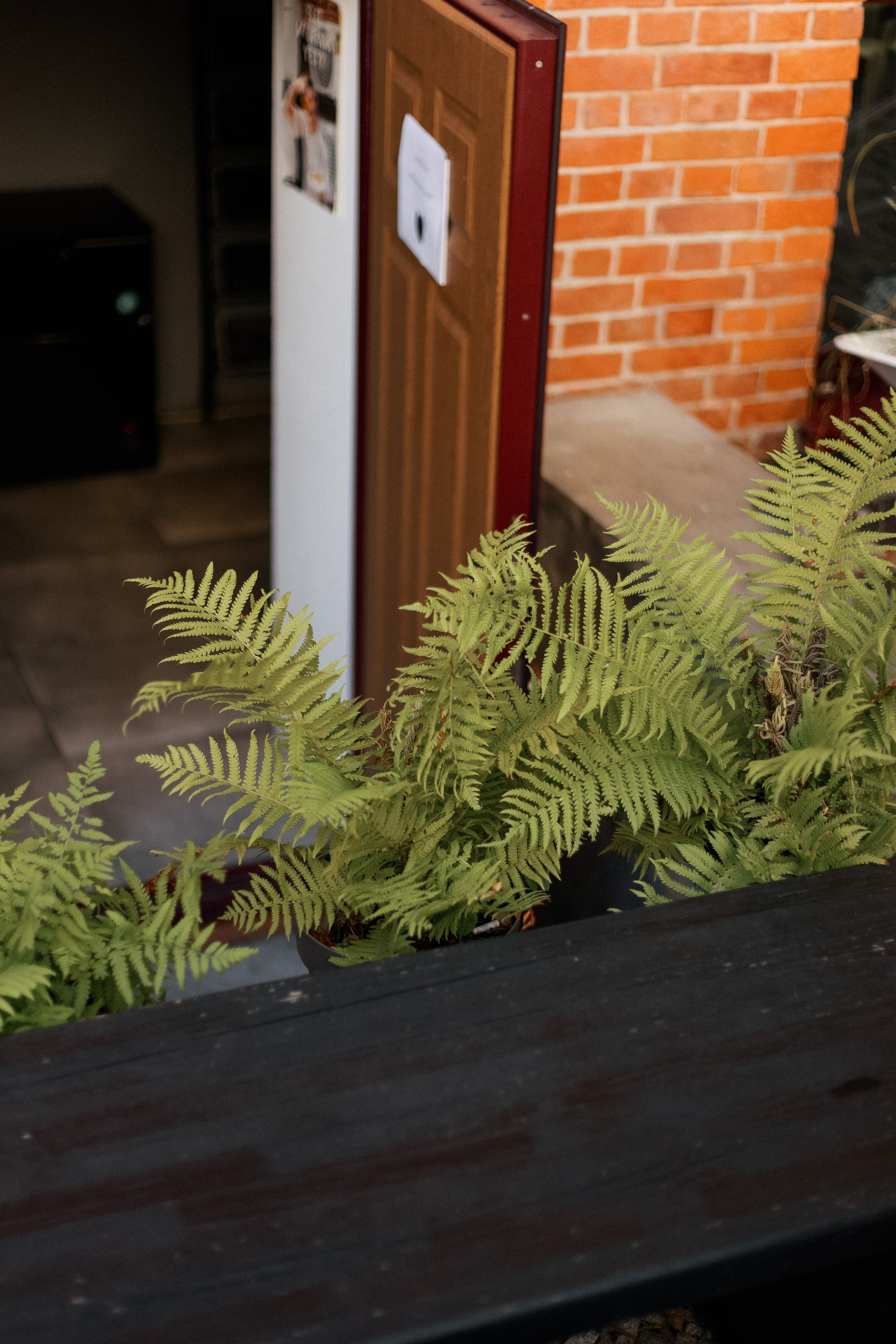 WALK-IN-DAY by MUKHINA TATTOO. СВОИ. ФОТООТЧЕТЫ-СОБЫТИЯ-МЕСТА