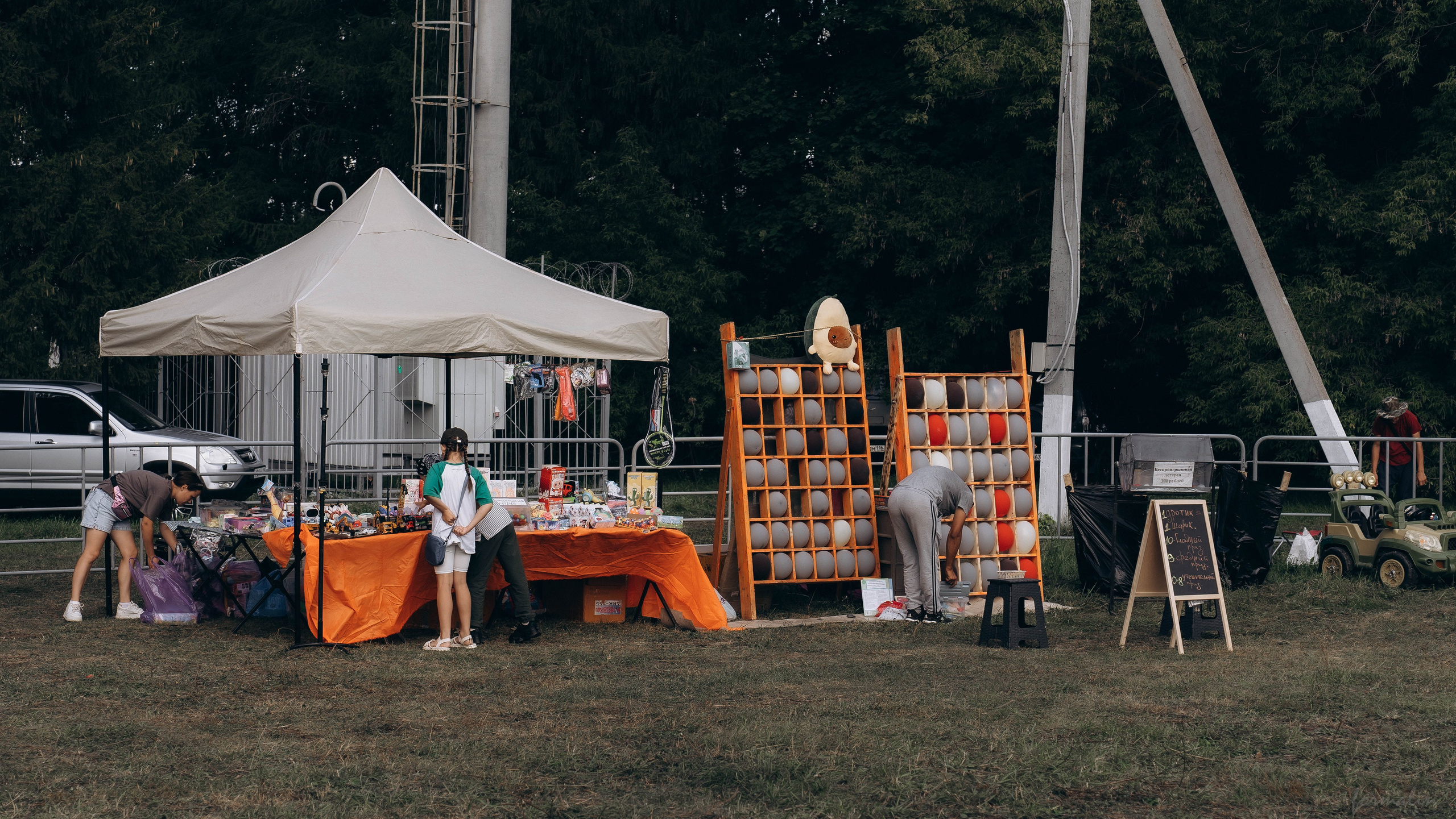 День Коня. Алиса Никитцова | Фотограф в Казани