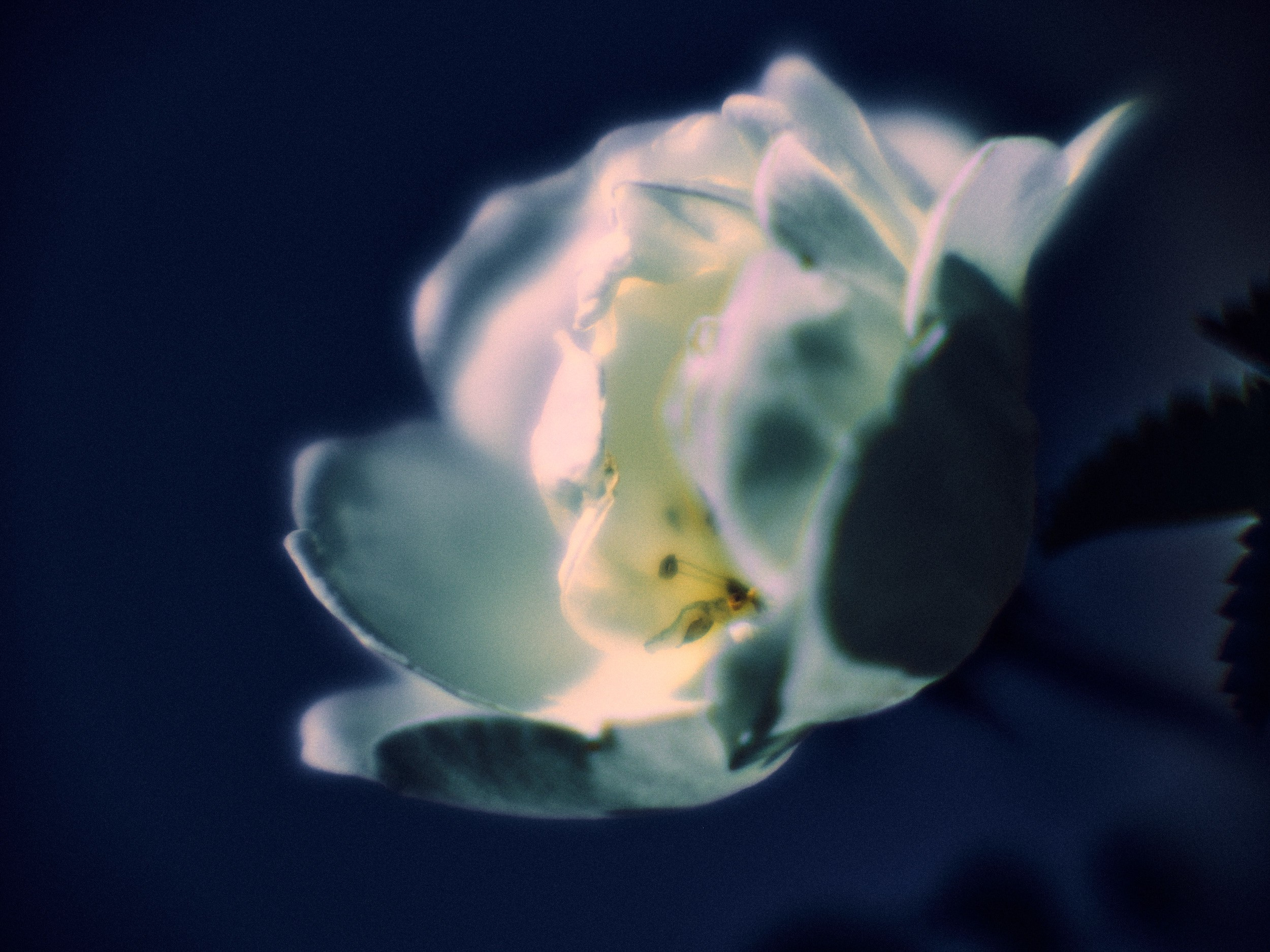 Фотограф Юлия Глазкова