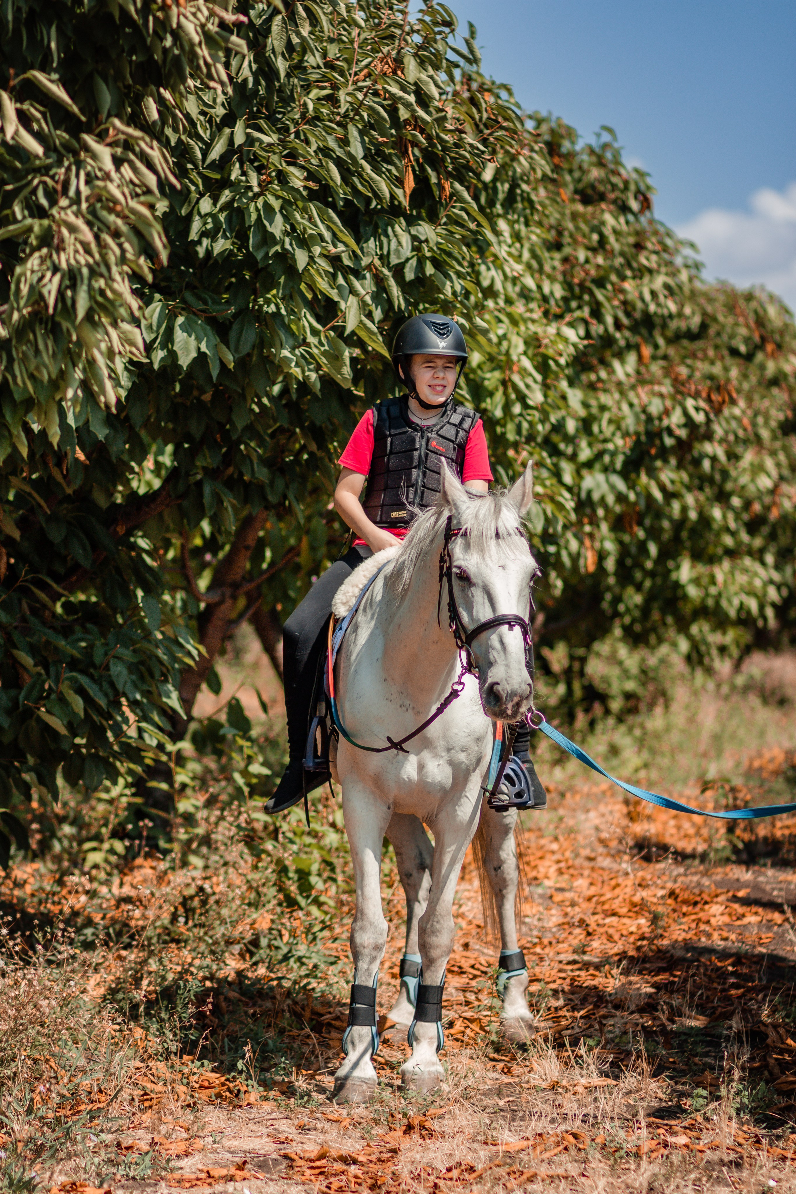Выезды в поля на лошади
