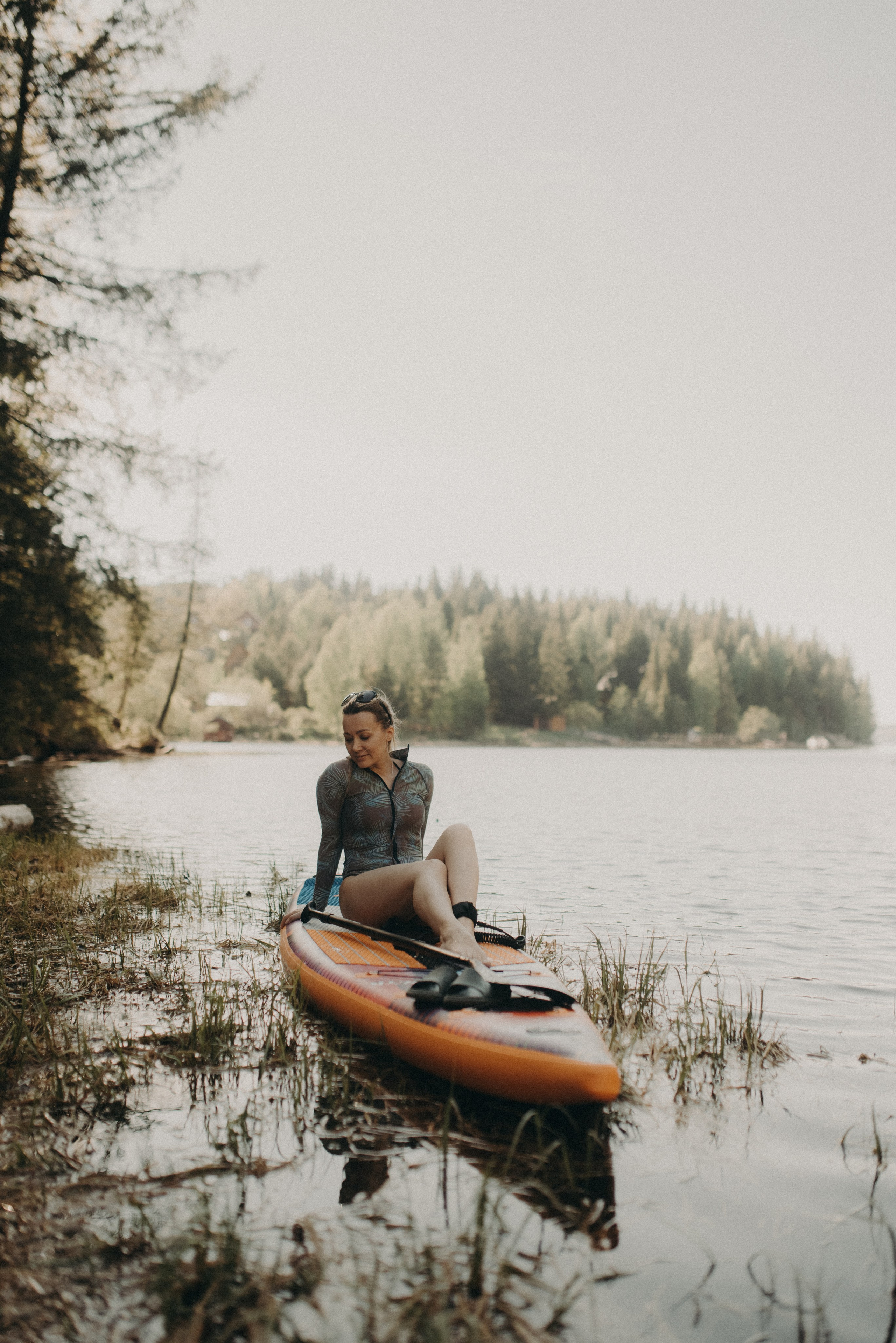 Шалаш среди леса. Главная