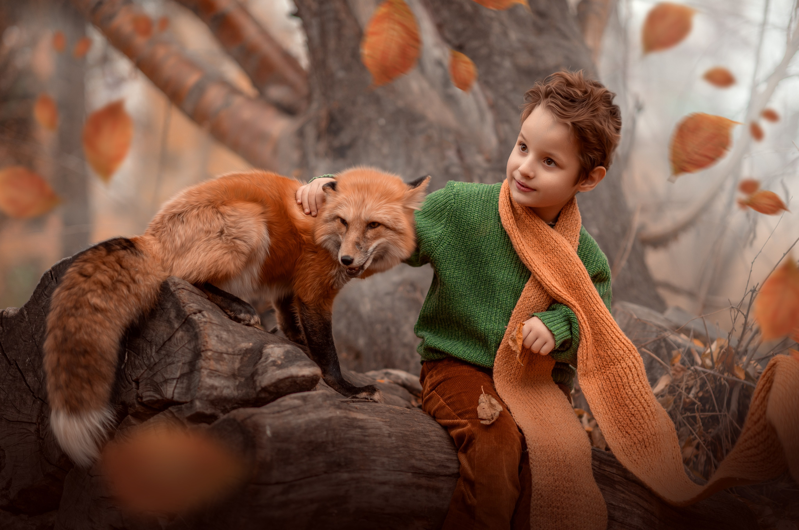 Лиса. Семейный фотограф Екатеринбург Лора Мур