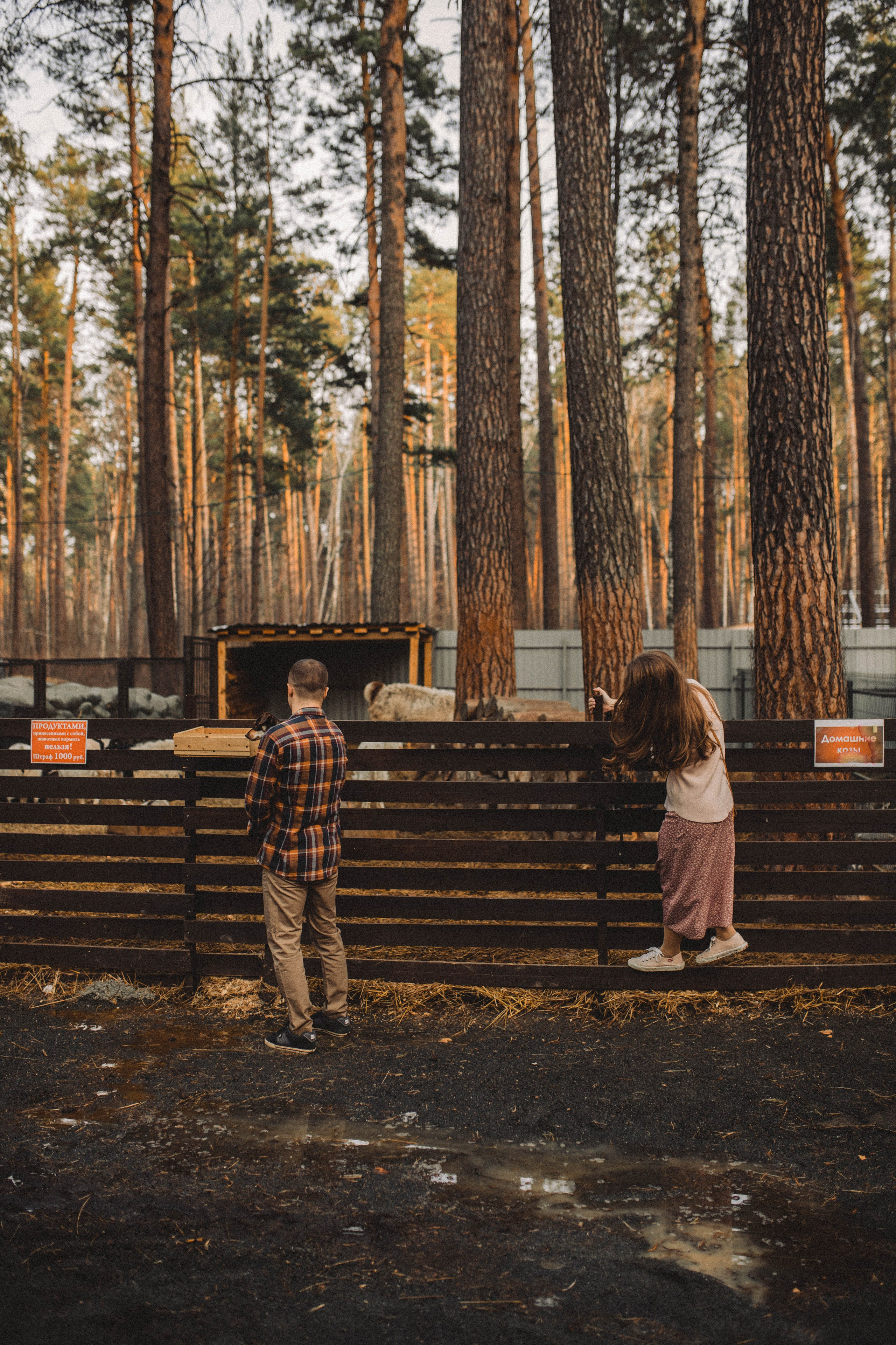 Предсвадебное Love Story | Максим & Анастасия. Свадебный фотограф Новосибирск