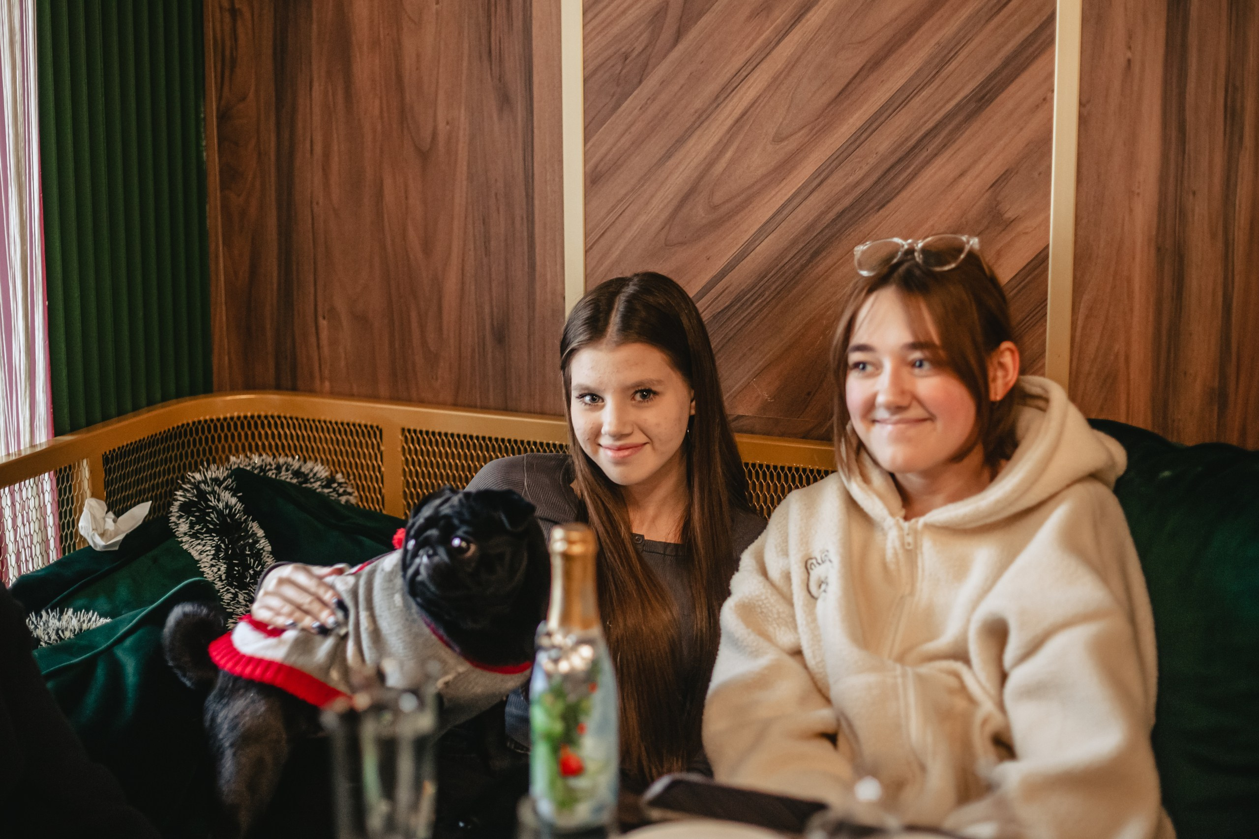 Мопсовстреча 02.12.2023. Фотограф-анималист Татьяна Степанова