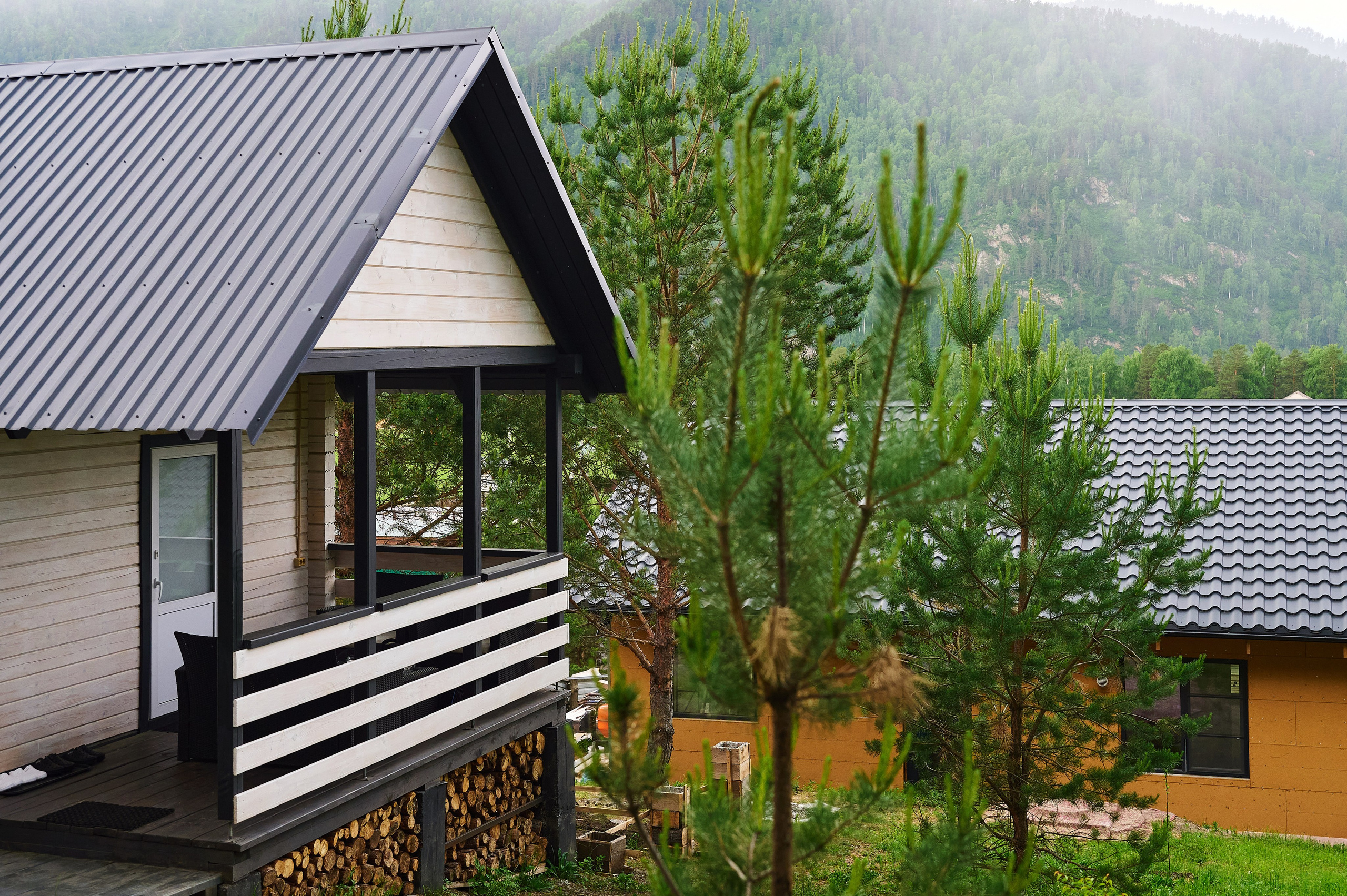 Панорама. Фотограф Опыт Качество Скорость Горный Алтай Барнаул