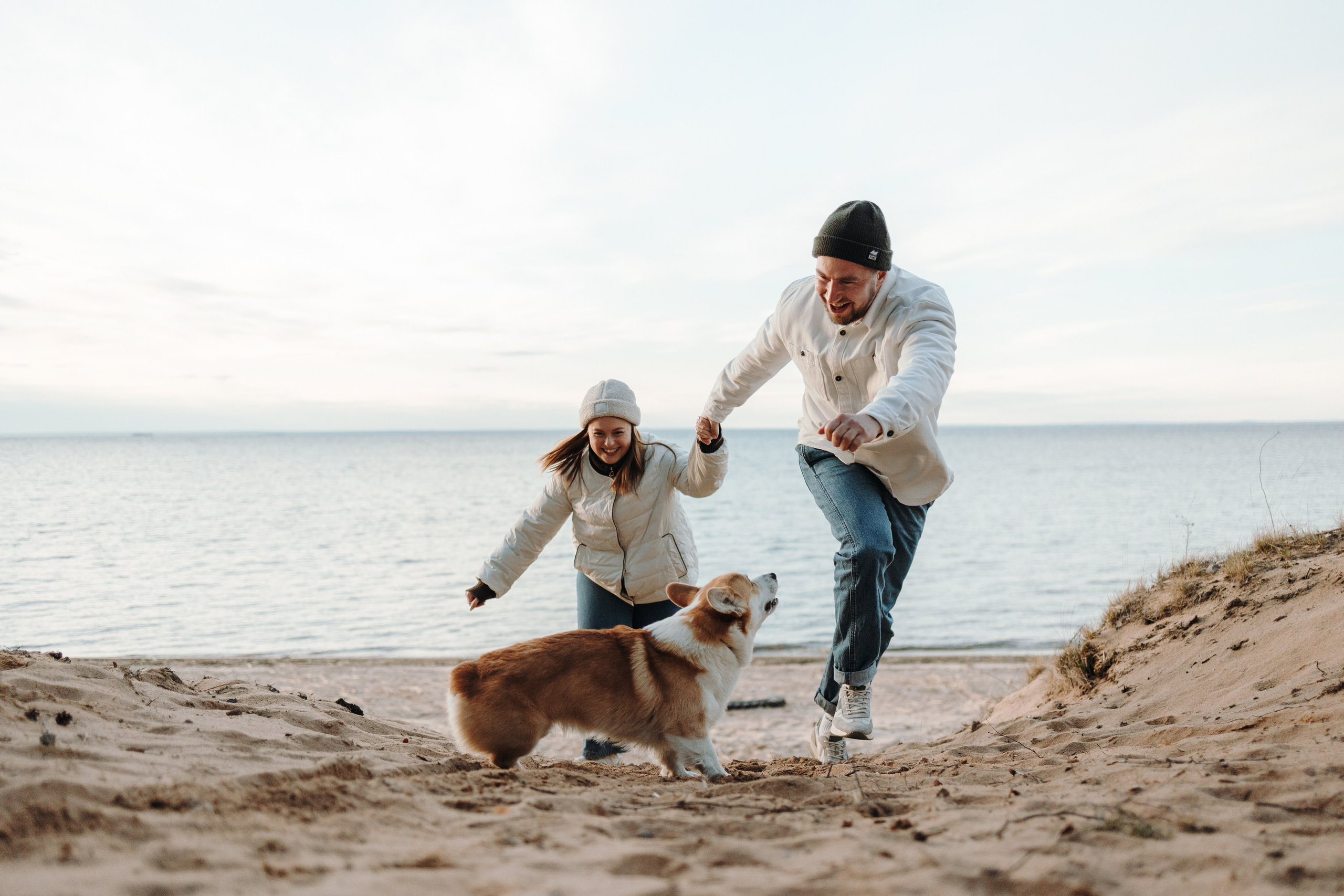 Найт и его семья. Фотограф — Анималист | Санкт-Петербург