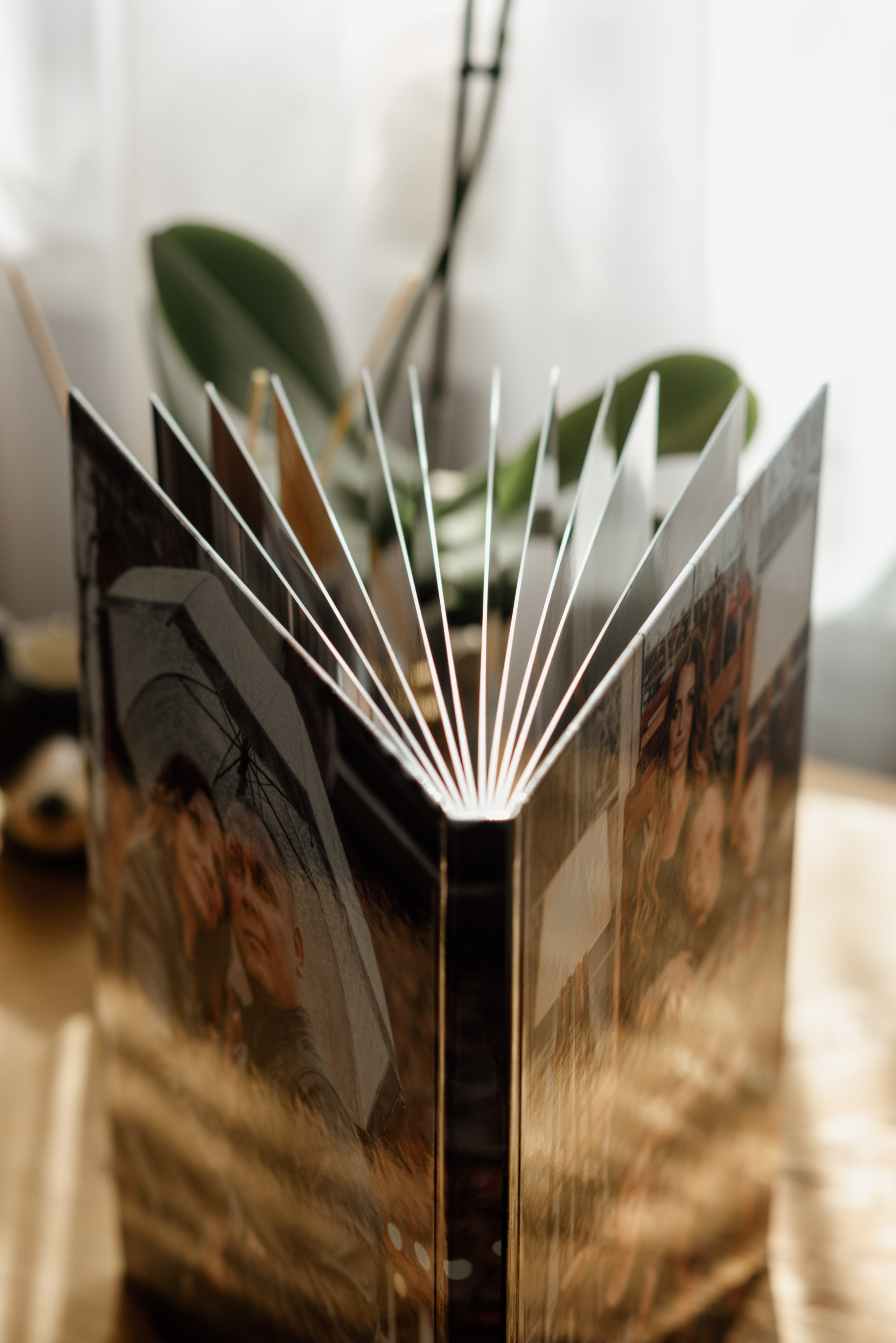 ФОТОКНИГИ. Фотограф Ростов