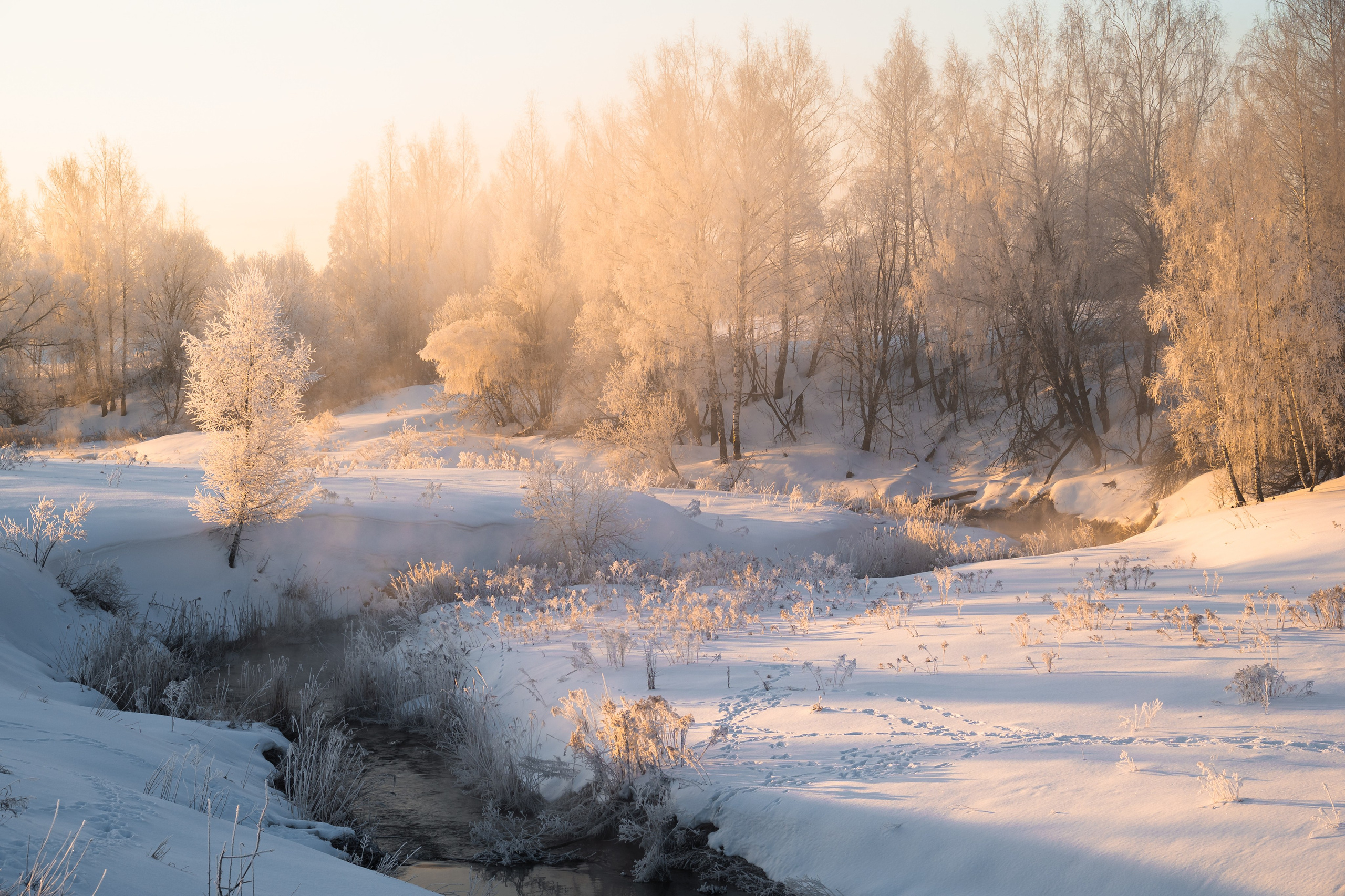 Река Дёготня. Фотограф и видеооператор в Туле | Даниил Рыбак
