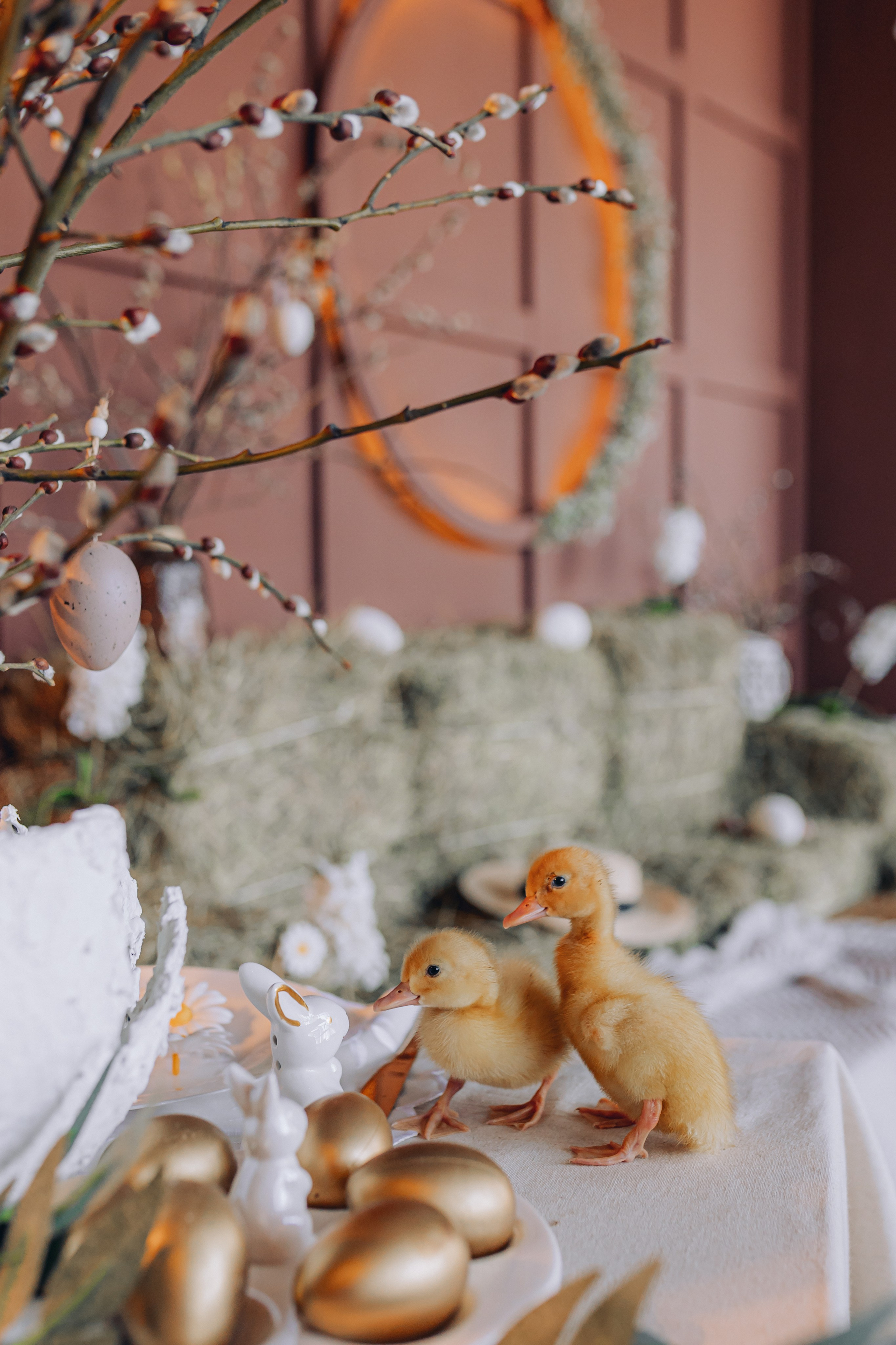 ETO Studio — фотостудия в Минске. Понравилась студия? Напишите — организую съёмку именно здесь. Фотограф в Минске Людмила Дутко