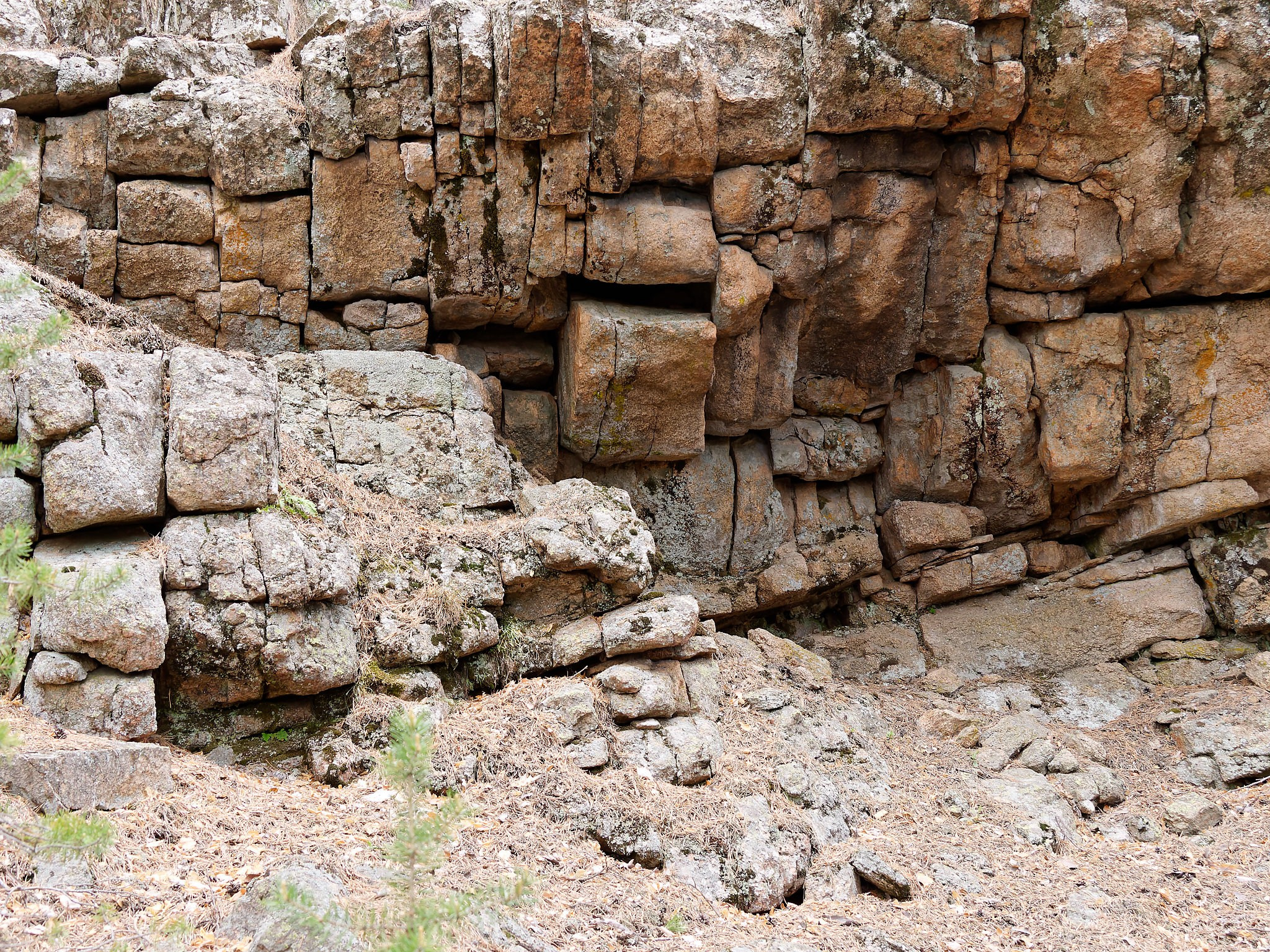 Боровое 2022 (из архива). Избранные фотографии