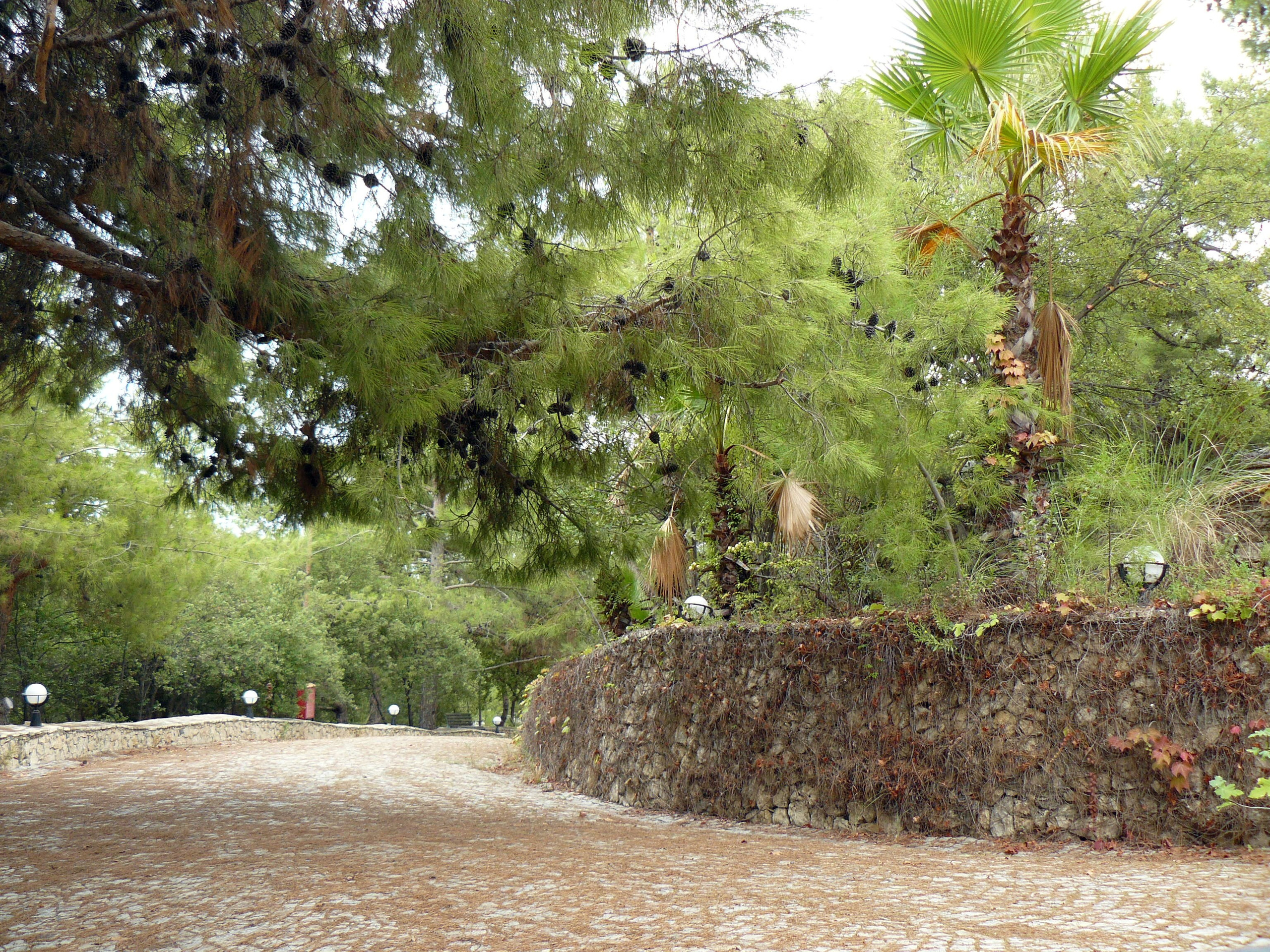 Кемер, Чамьюва 2008. Избранные фотографии