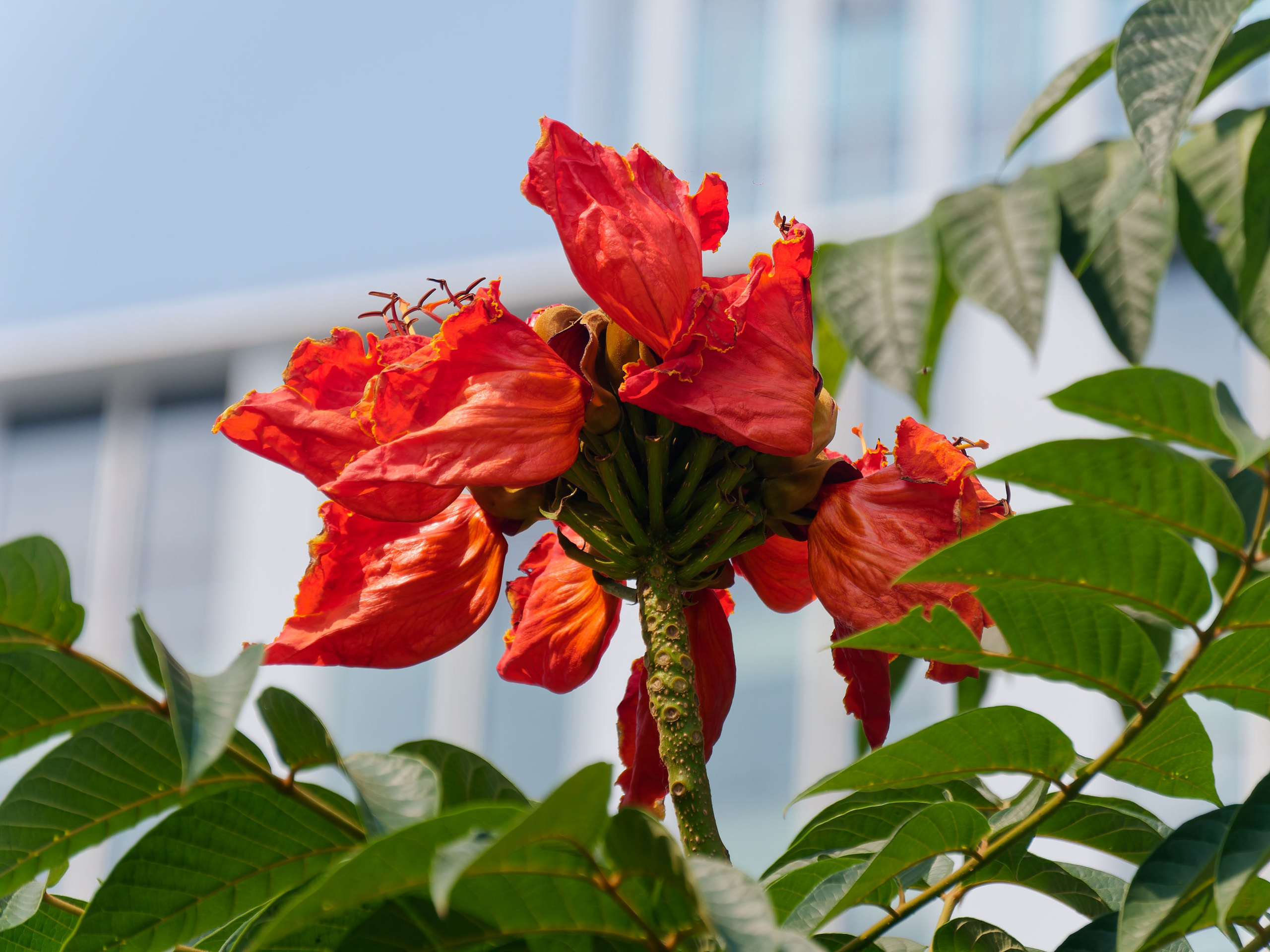 Хайнань 2026, Санья, Торговый центр «Joy City». Фотопрогулки по Миру