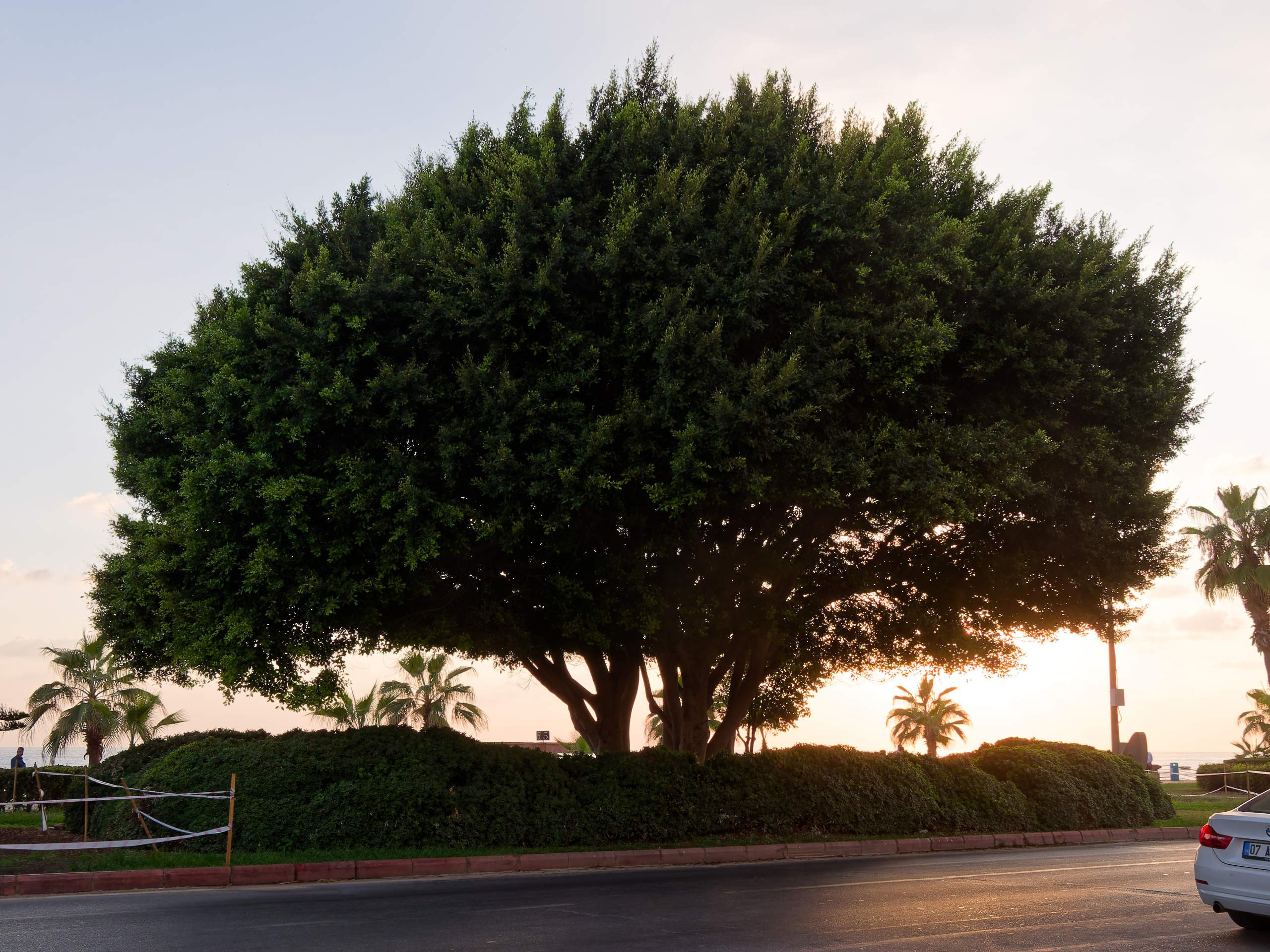 Алания 2025, город, стрит-фото. Избранные фотографии