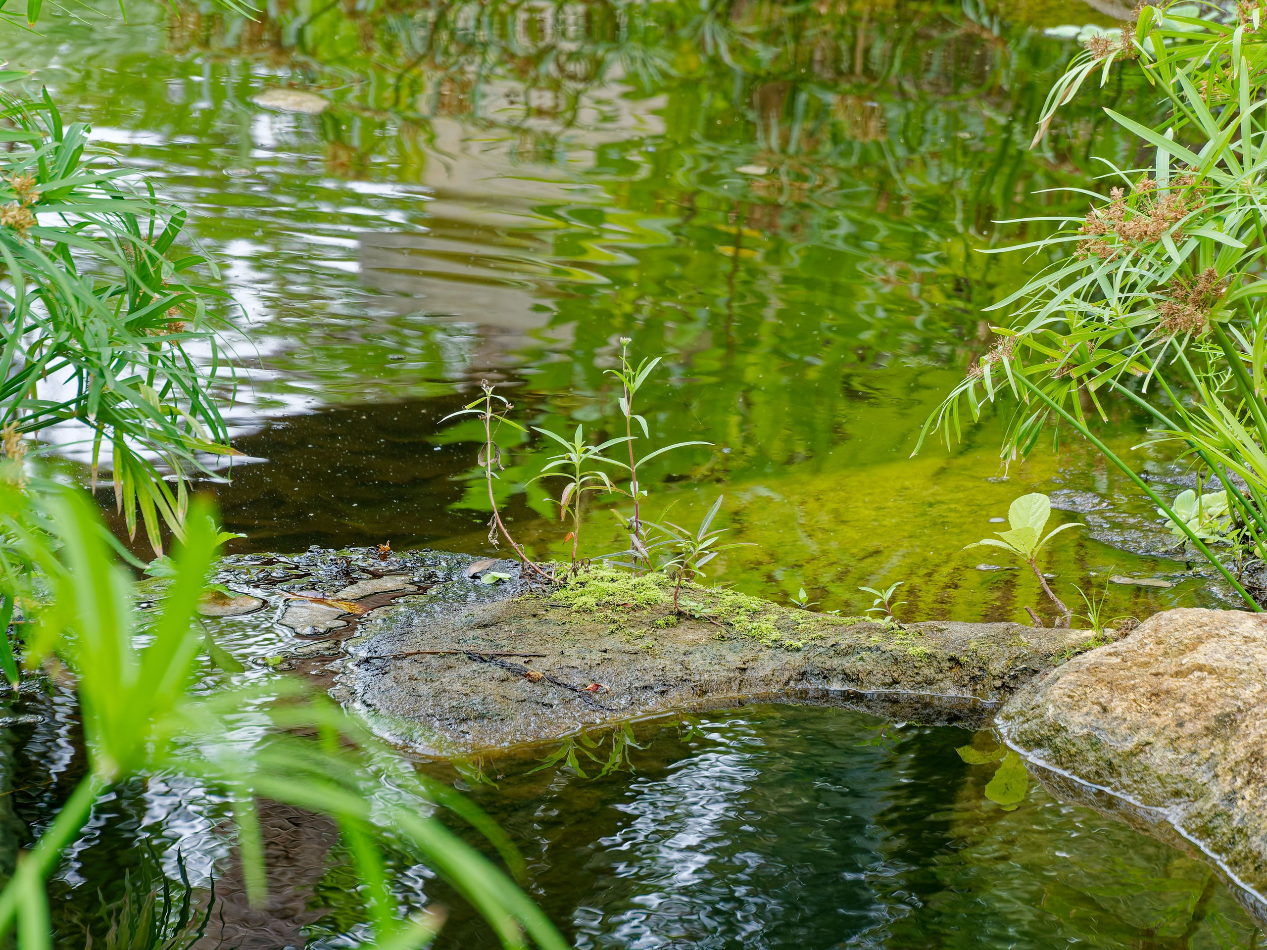 Хайнань 2026, отель «Stony Brook Villa Jianguo Resort Sanya 4*». Фотопрогулки по Миру