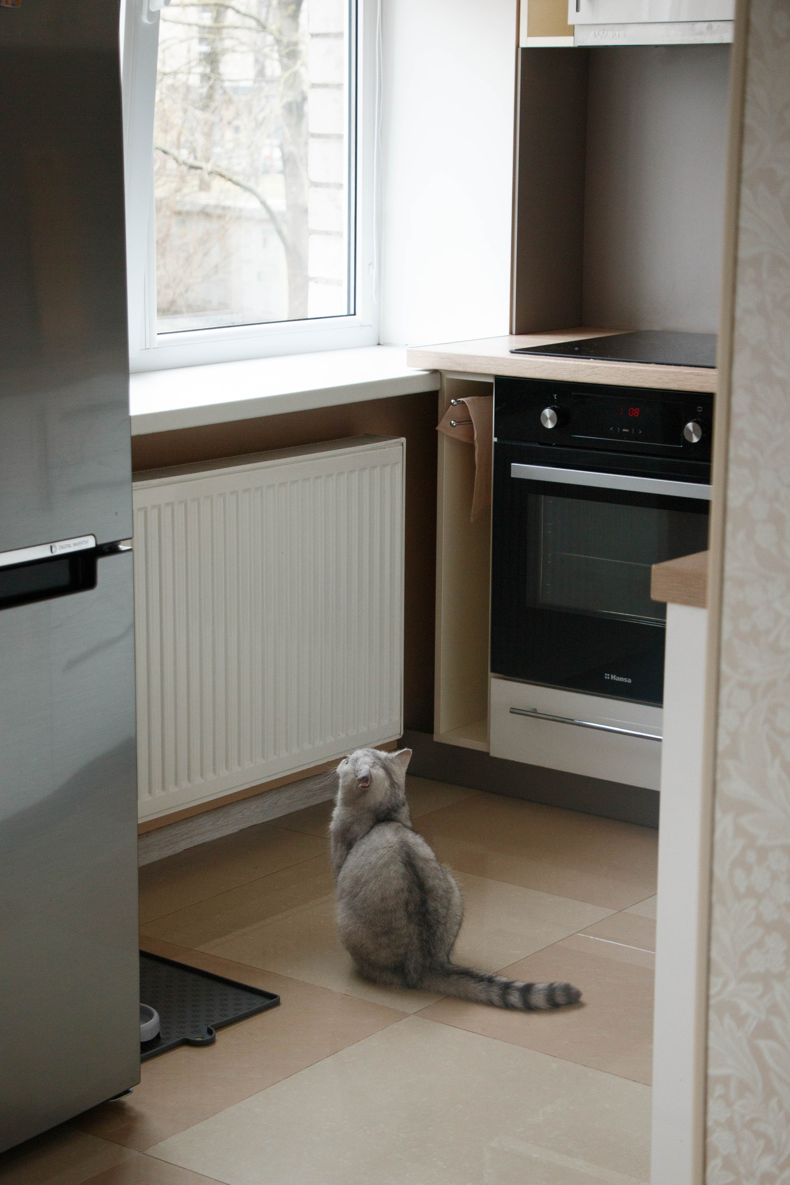 NASTYA & KITTI. Бережно сохраняю ваши чувства и истории на своих фотографиях