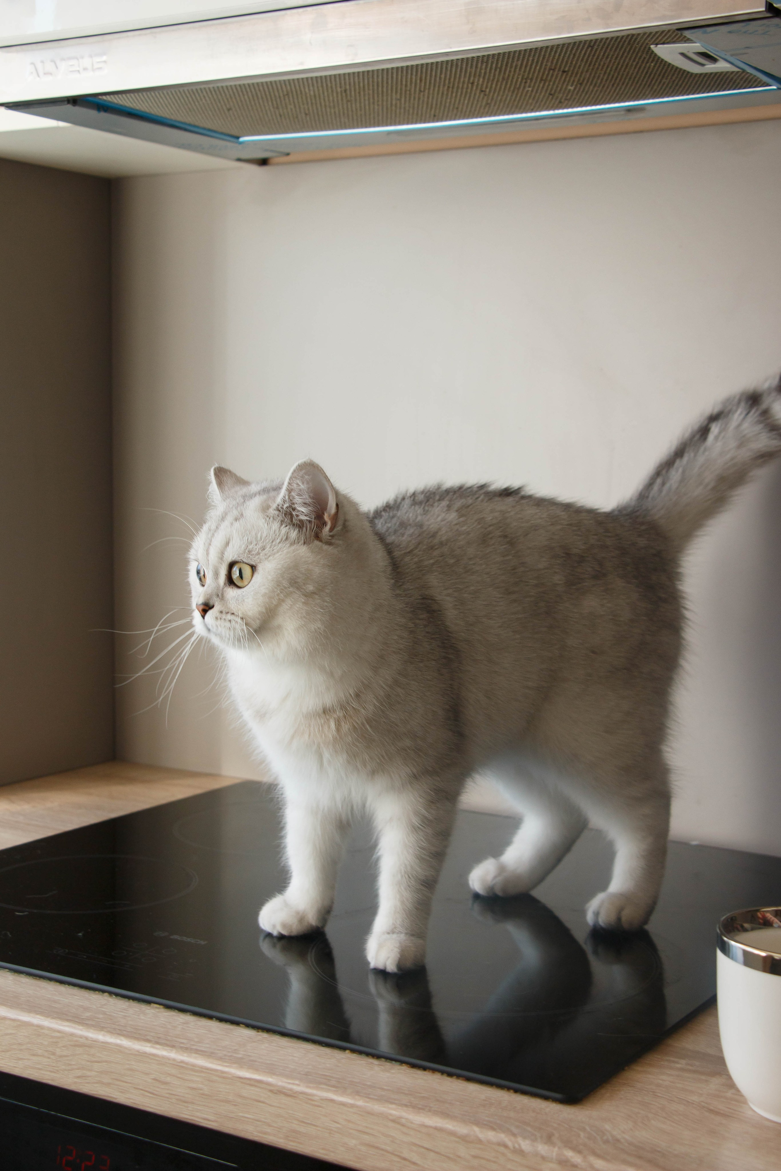 NASTYA & KITTI. Бережно сохраняю ваши чувства и истории на своих фотографиях