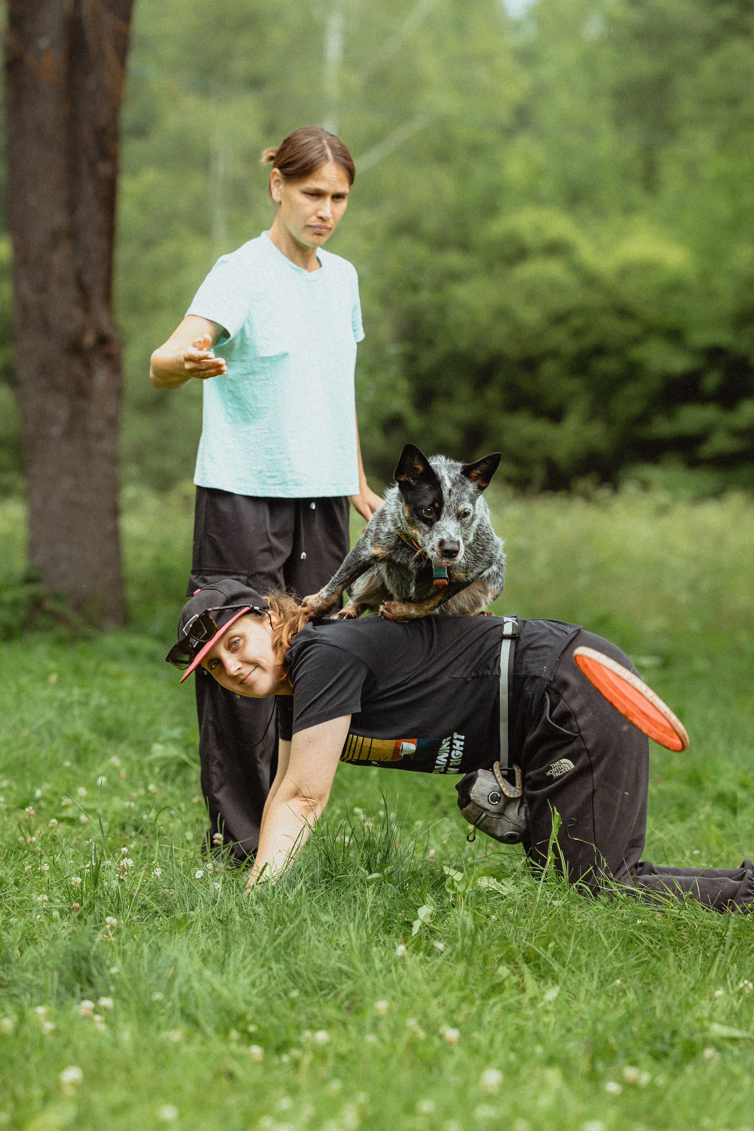 Выездной дог-тренинг от школы «Шерсть имею»