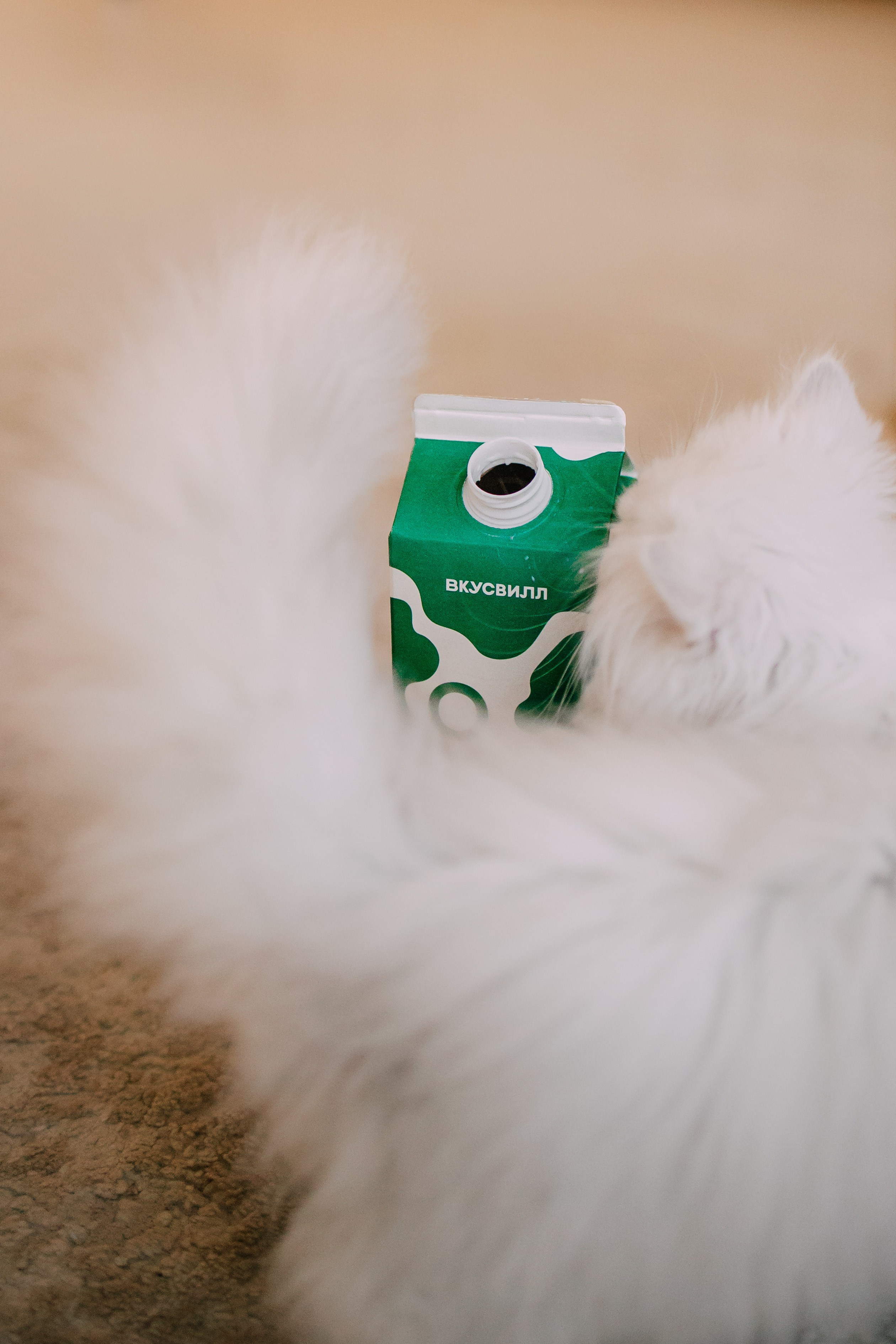 Султан, Мэй Мэй и Шанталь и их семья