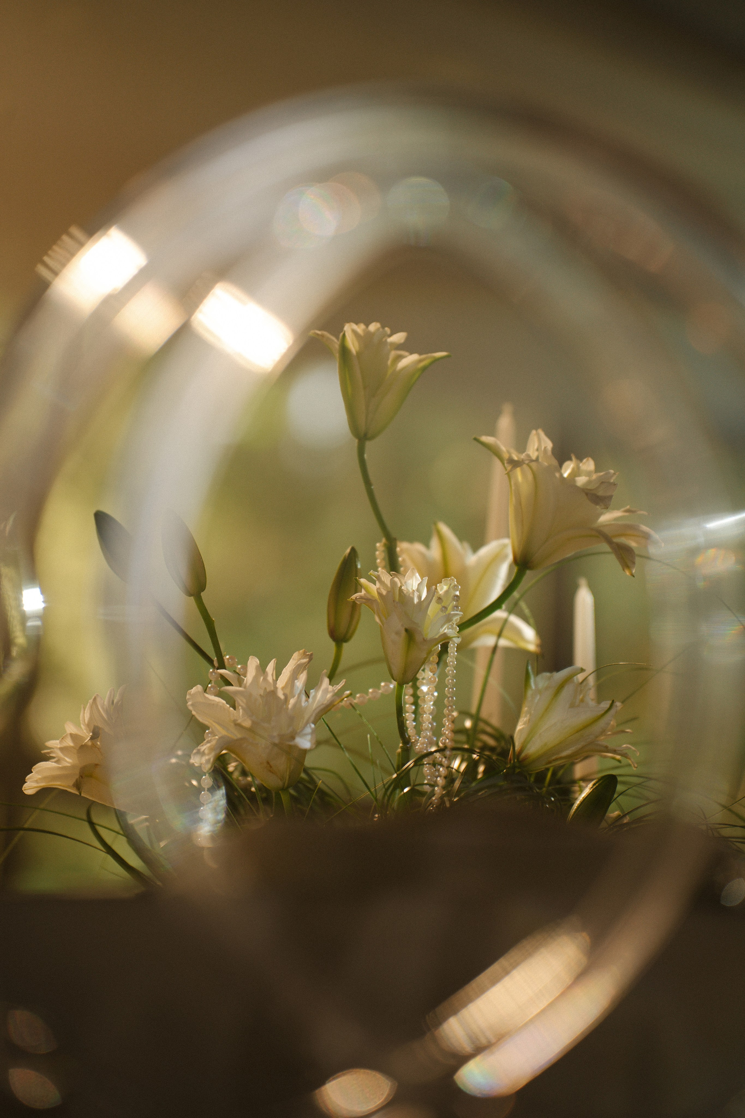 Смех, любовь и немного хаоса. Фотограф Евстигнеев Илья