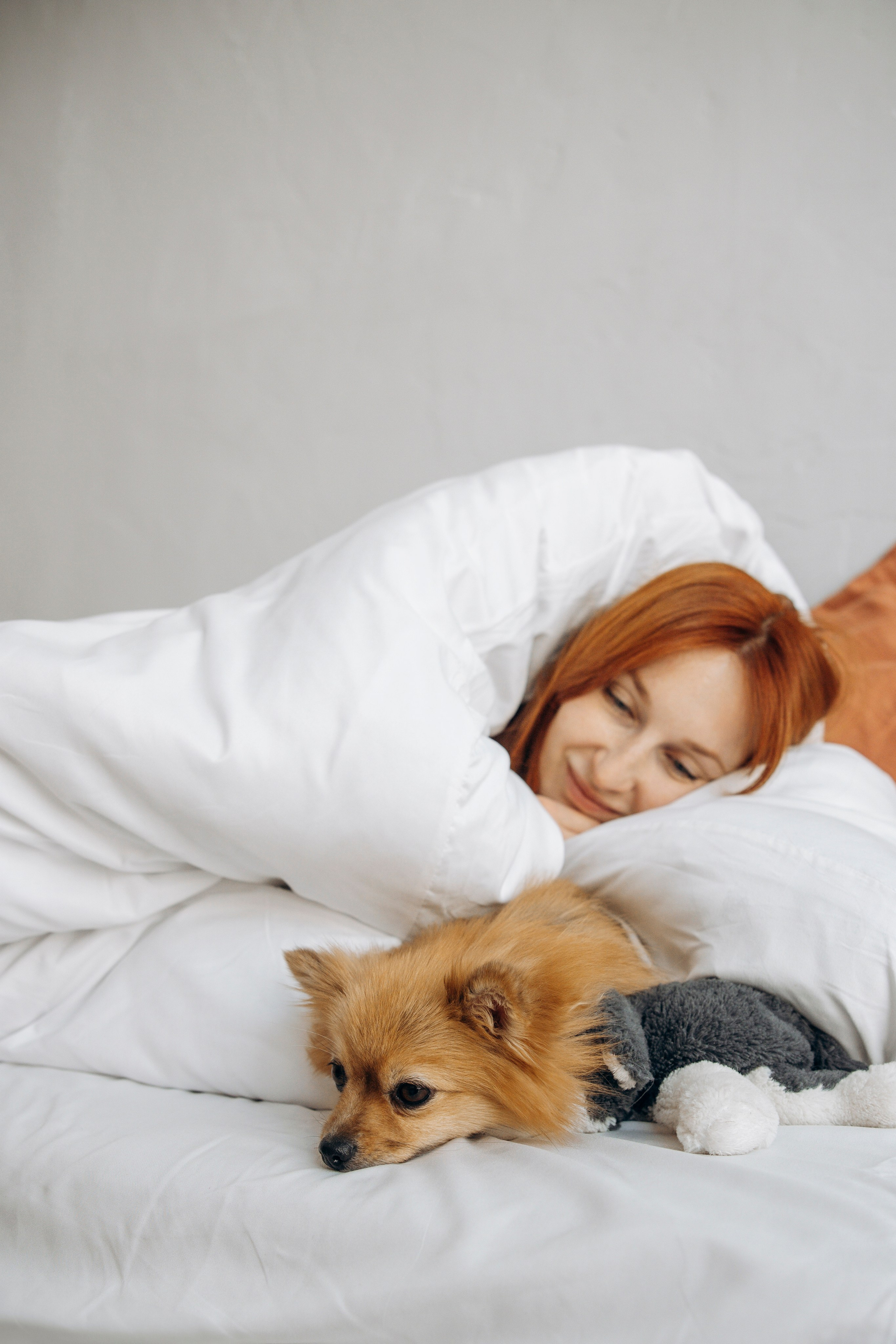 Съемка в студии с собакой. Анастасия Белаш