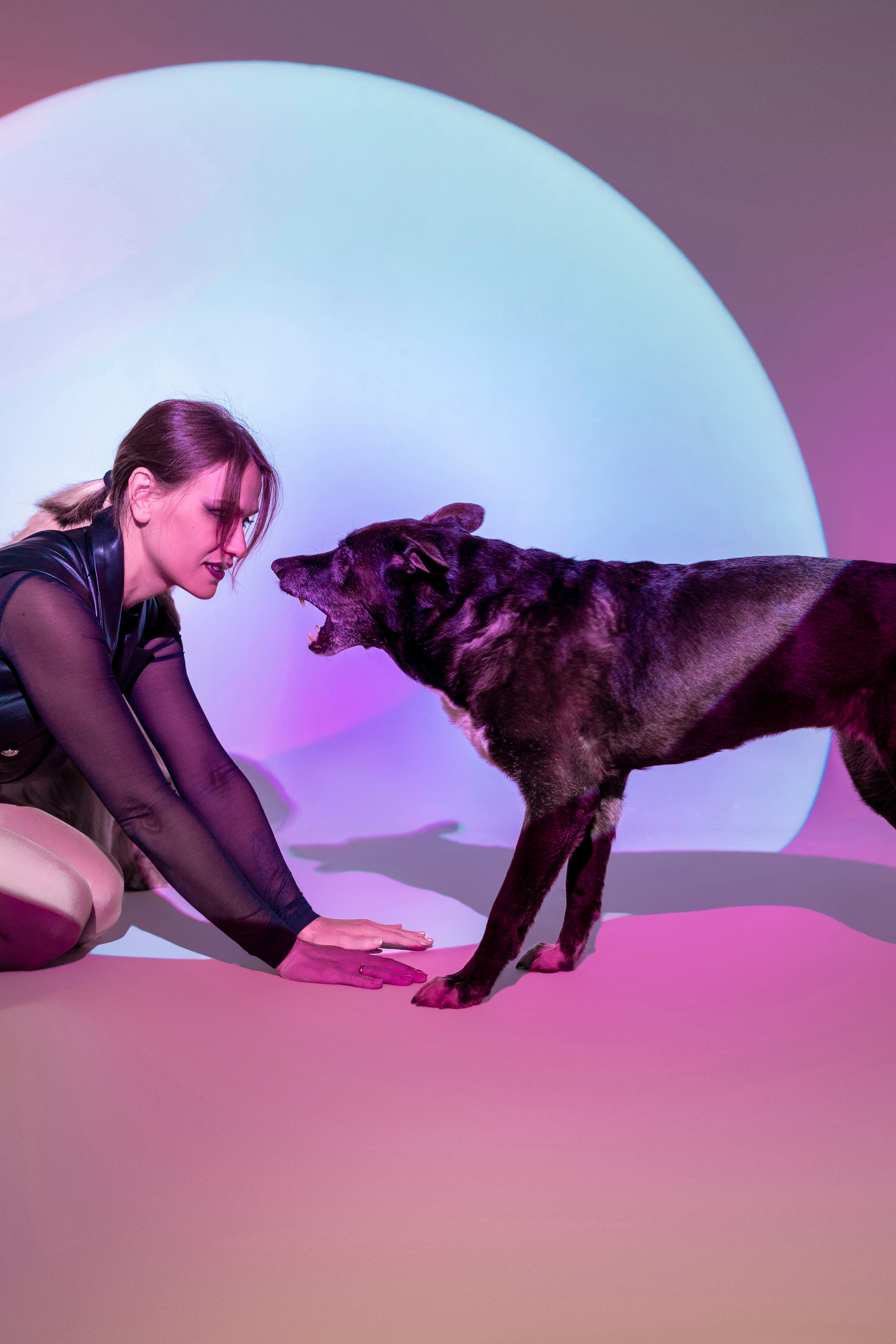 Съемка в студии с собакой. Анастасия Белаш