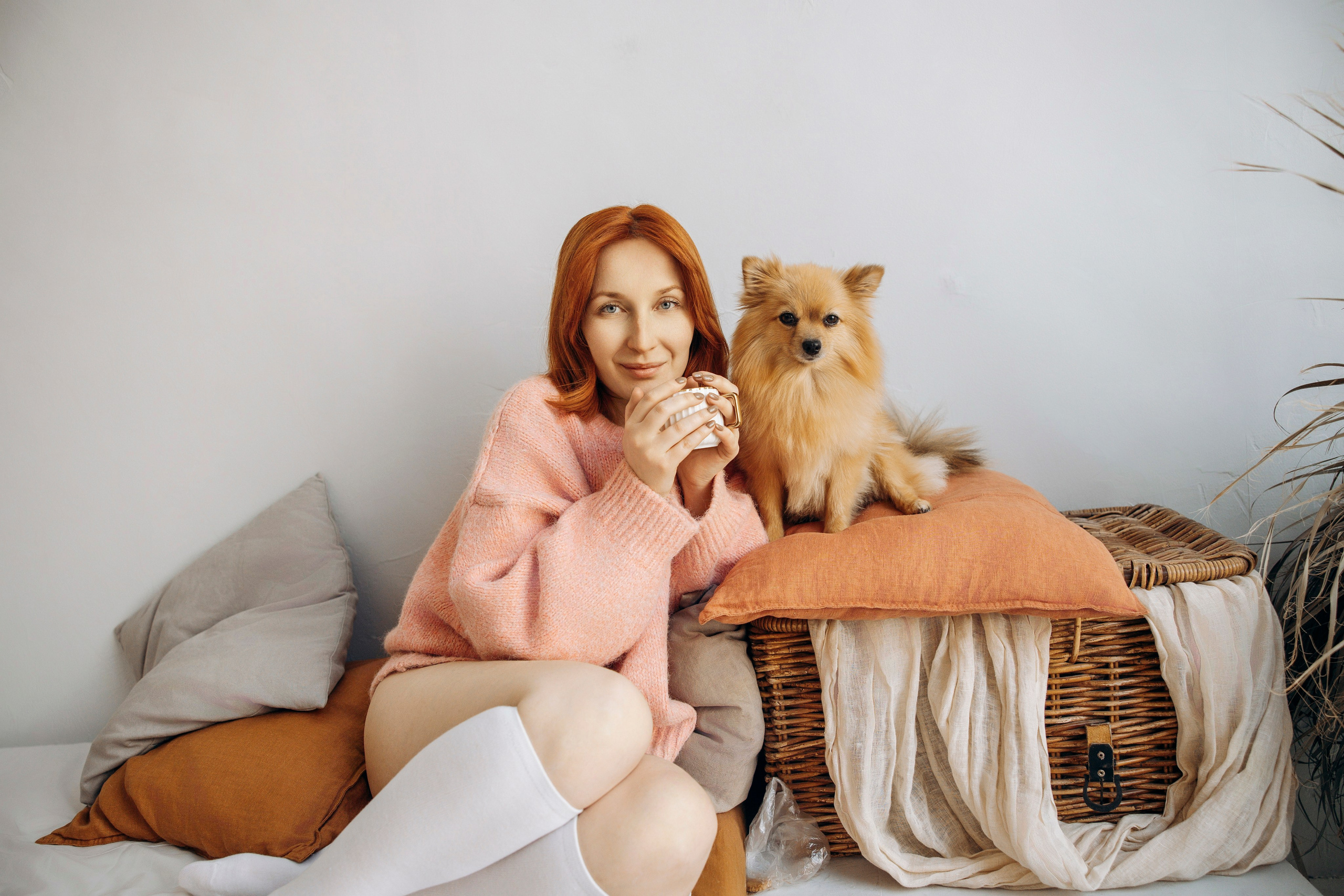 Съемка в студии с собакой. Анастасия Белаш