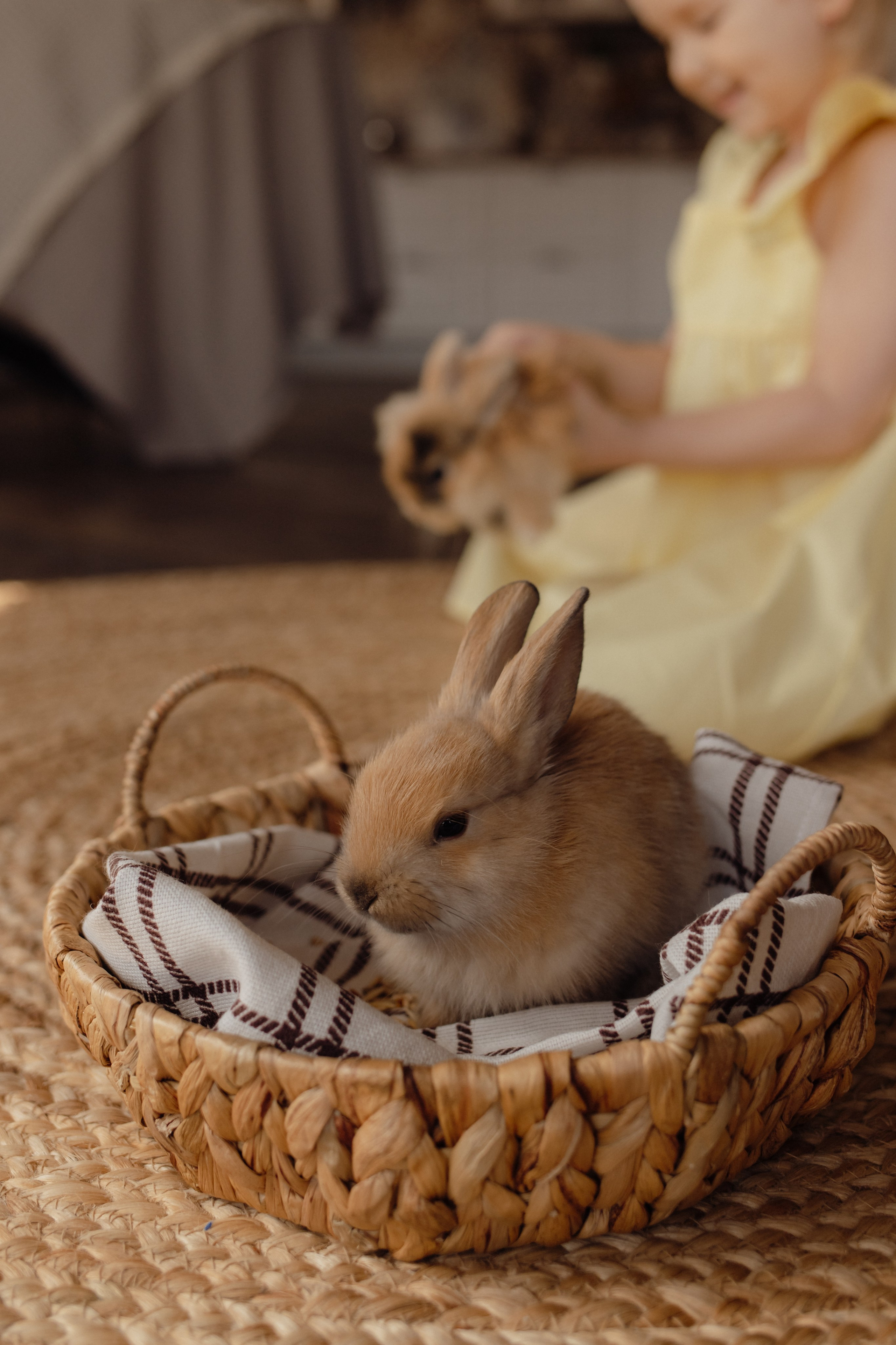 Варвара. Семейный и свадебный фотограф в Челябинске Мария Леонтьева