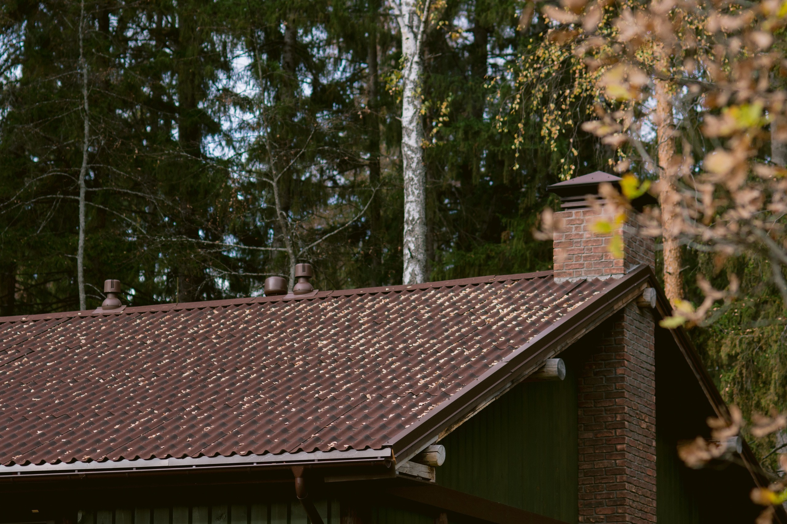 Осень, свадьба, любовь. Свадебный фотограф Ижевск/Сарапул Анастасия Бель