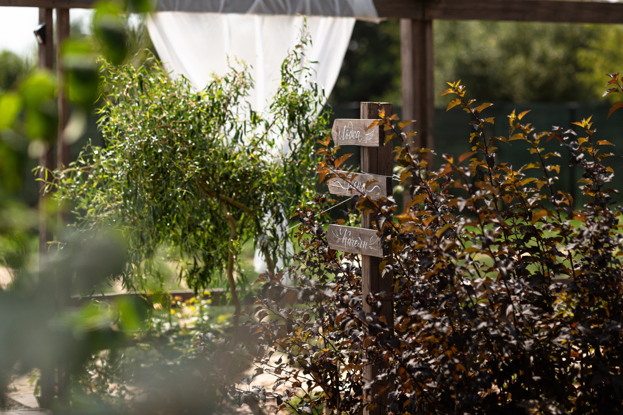 Олег & Юля. Свадебный фотограф в Воронеже Дарья Володарская