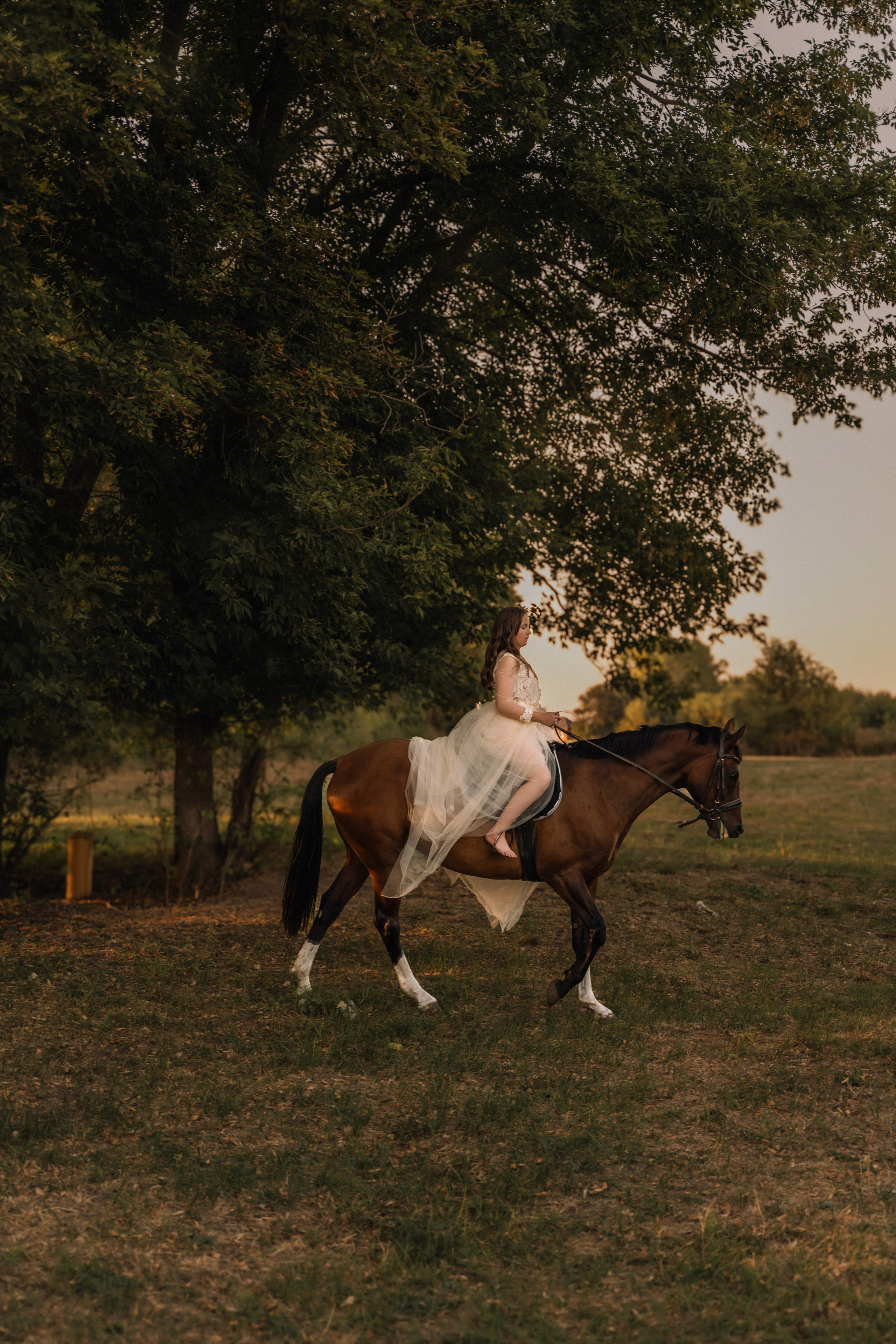 Евгения. Фотосессия с лошадьми. Семейный фотограф в Белгороде Амелина Алина