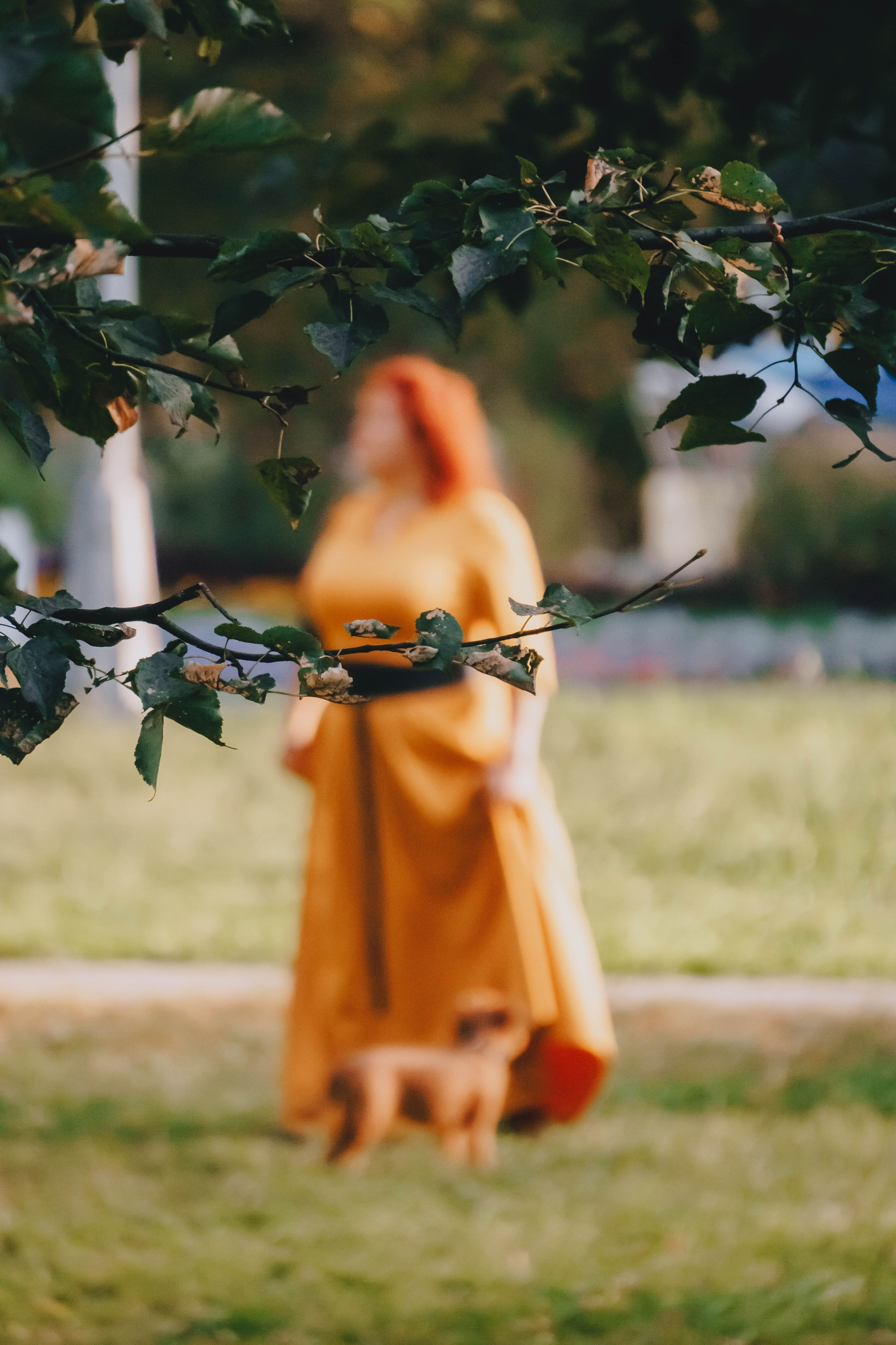 Мини-туса гриффоны и брабансоны. Фотограф-анималист Ксения Воробьева, Москва