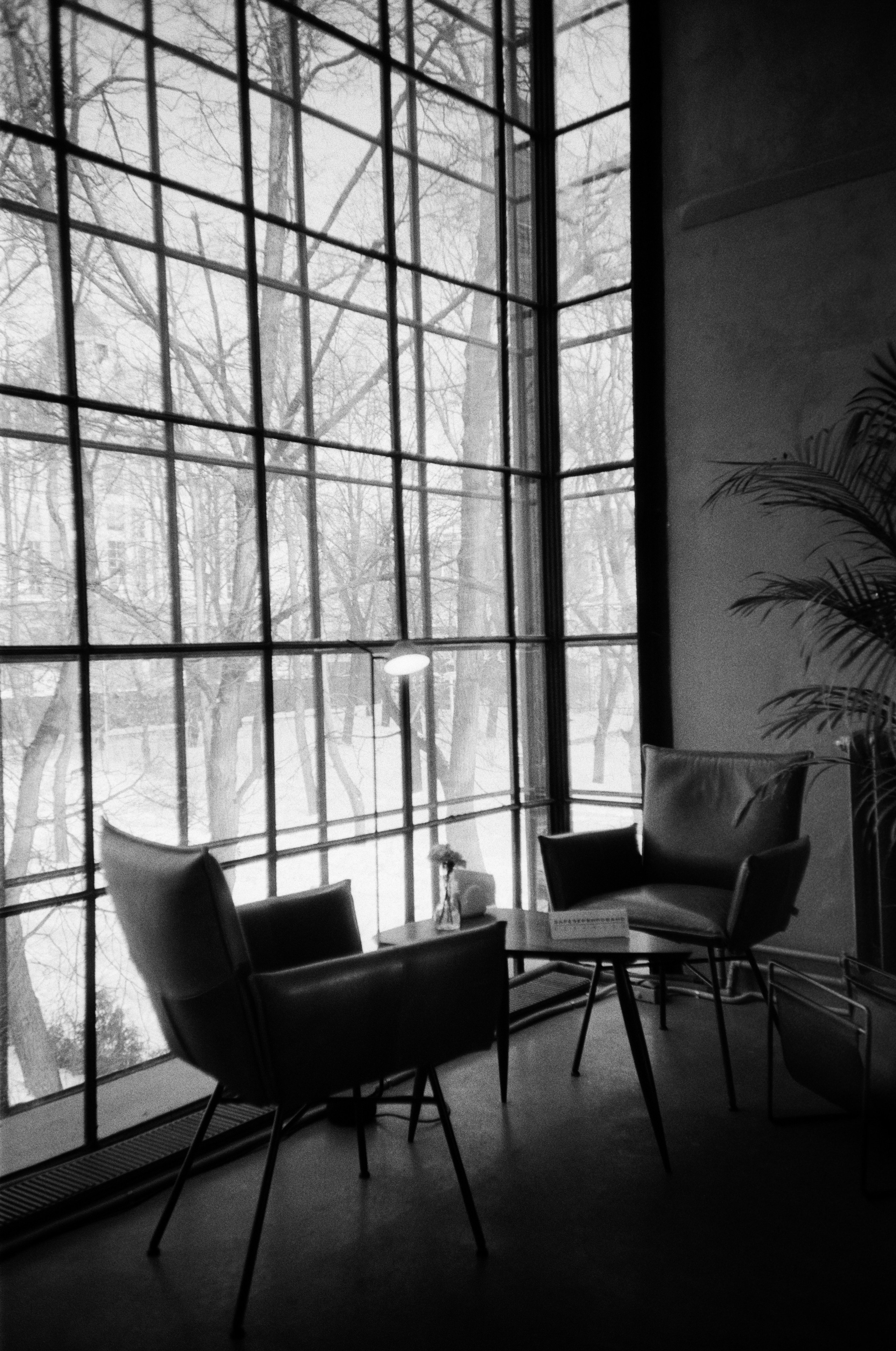 Grain. Artem Khusainov