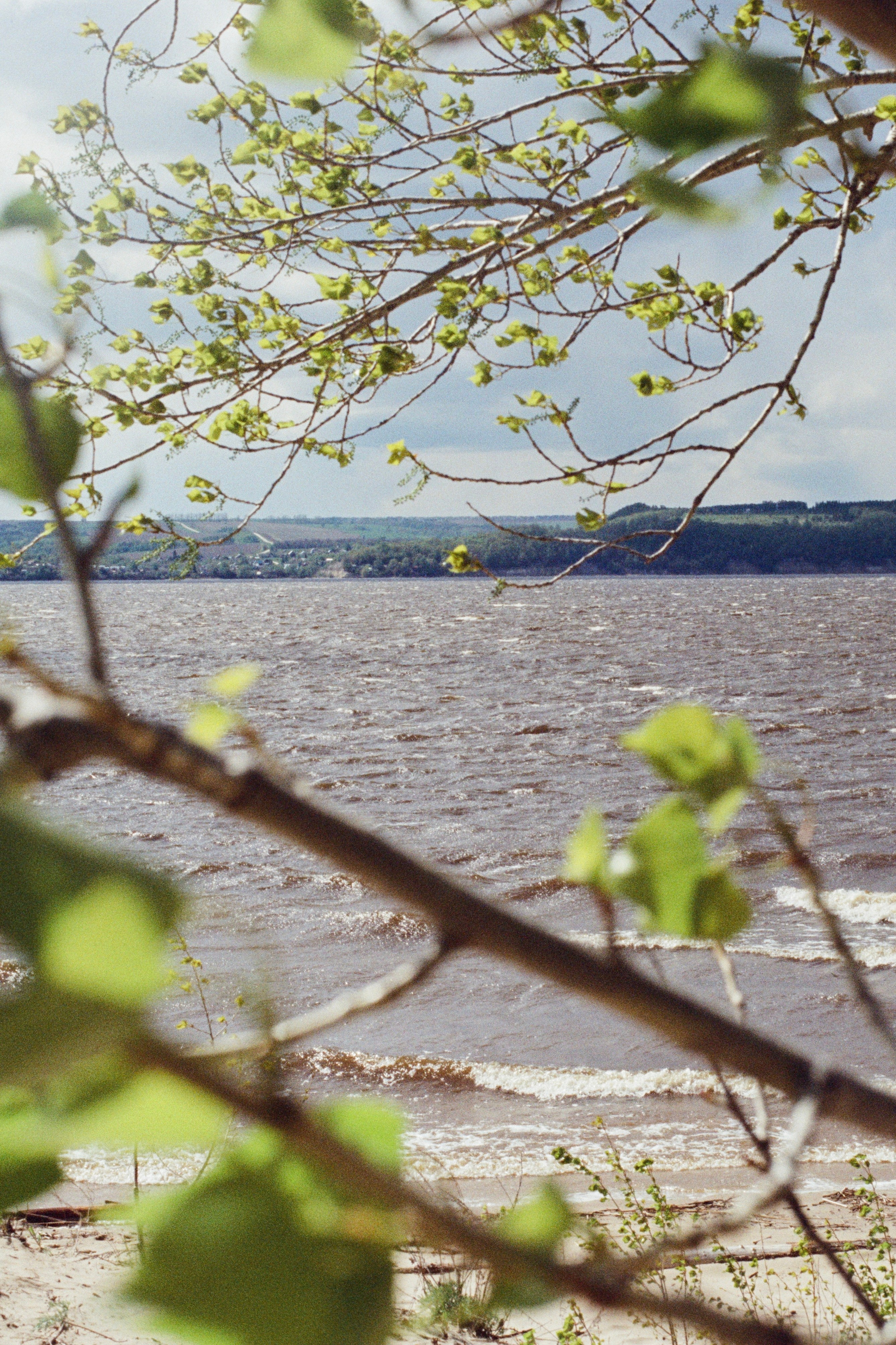 Grain. Artem Khusainov