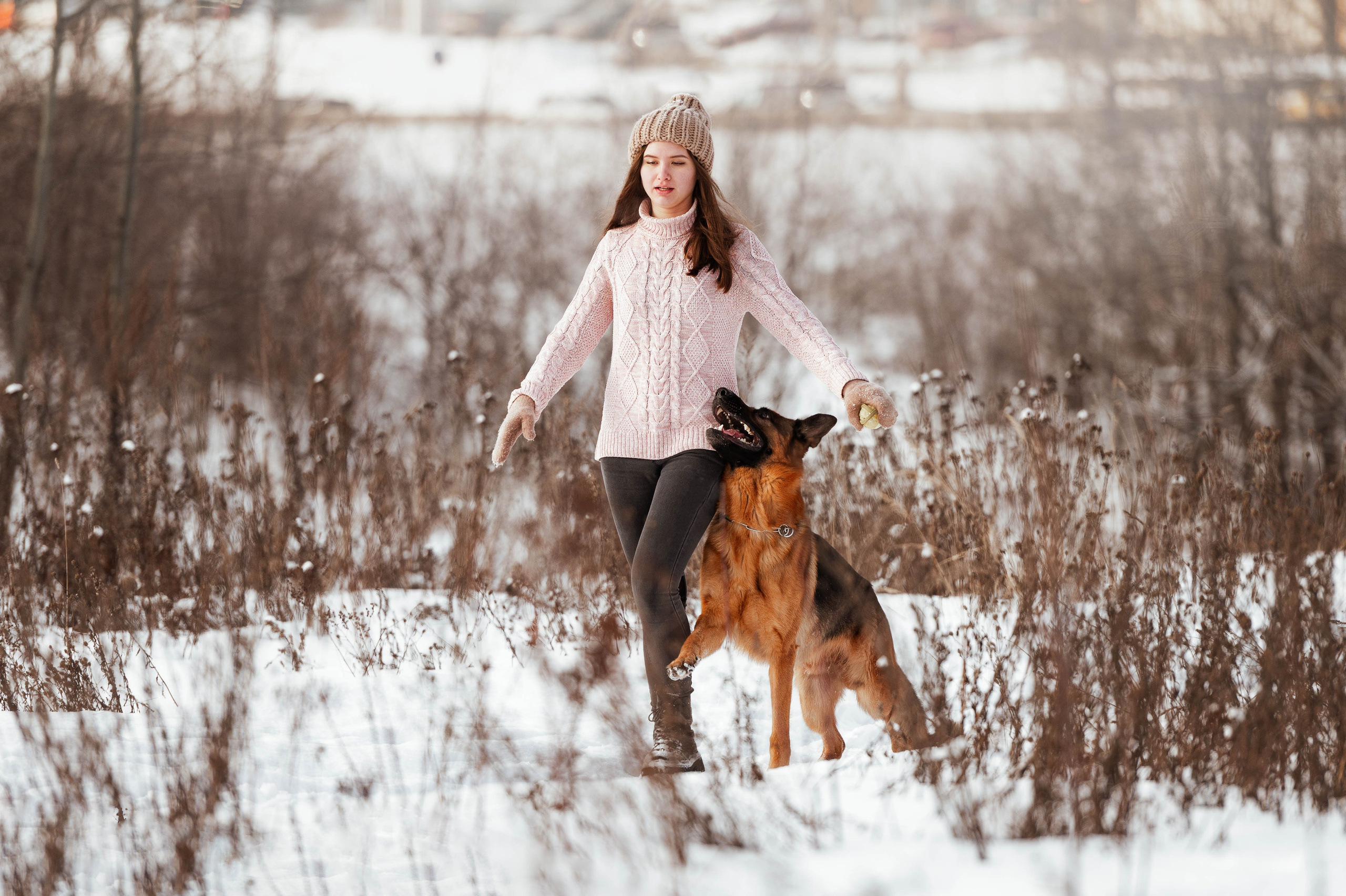 Вольт. Фотограф-анималист