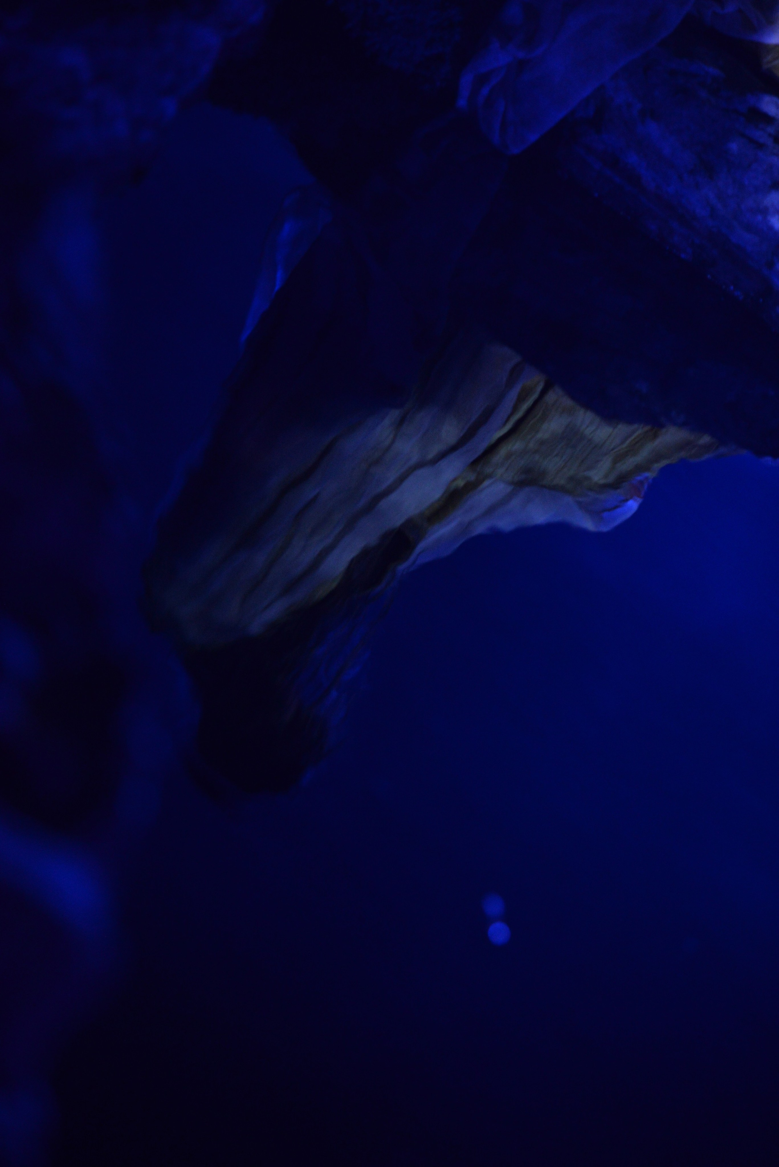 «Следы на водной глади». Арт-группа СТРОКА