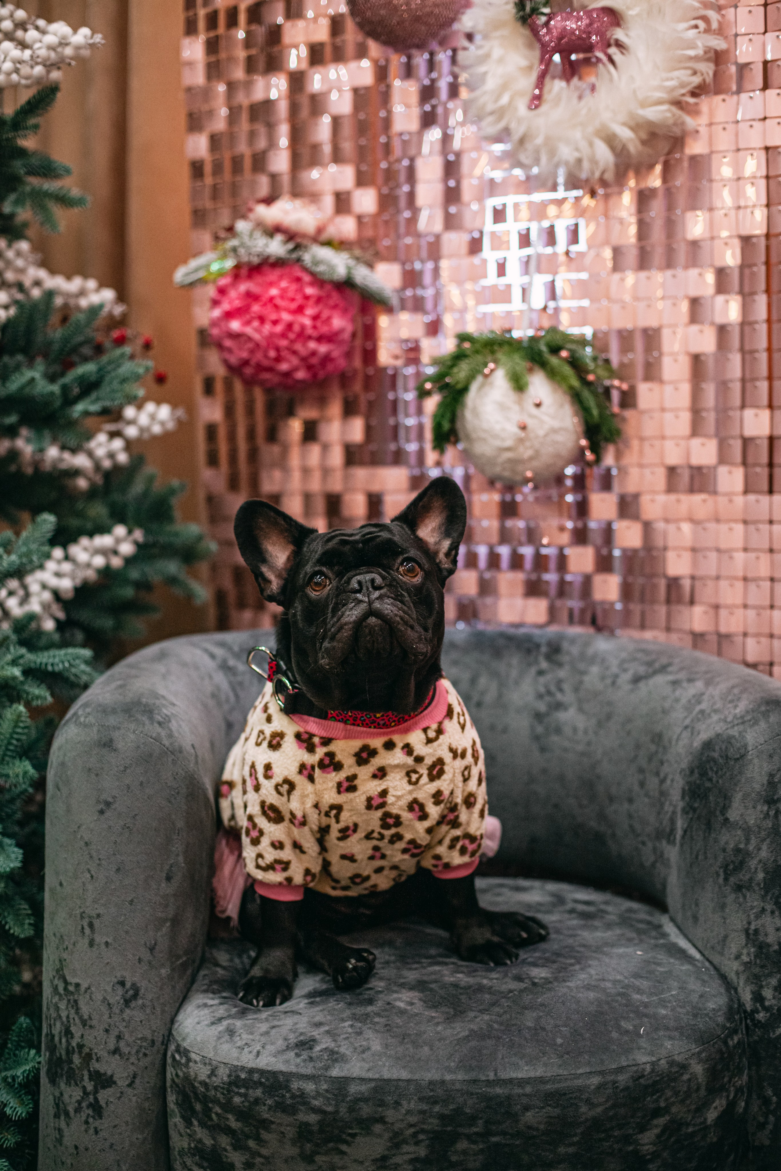 Бульёлка 2024. Фотограф-анималист Татьяна Степанова